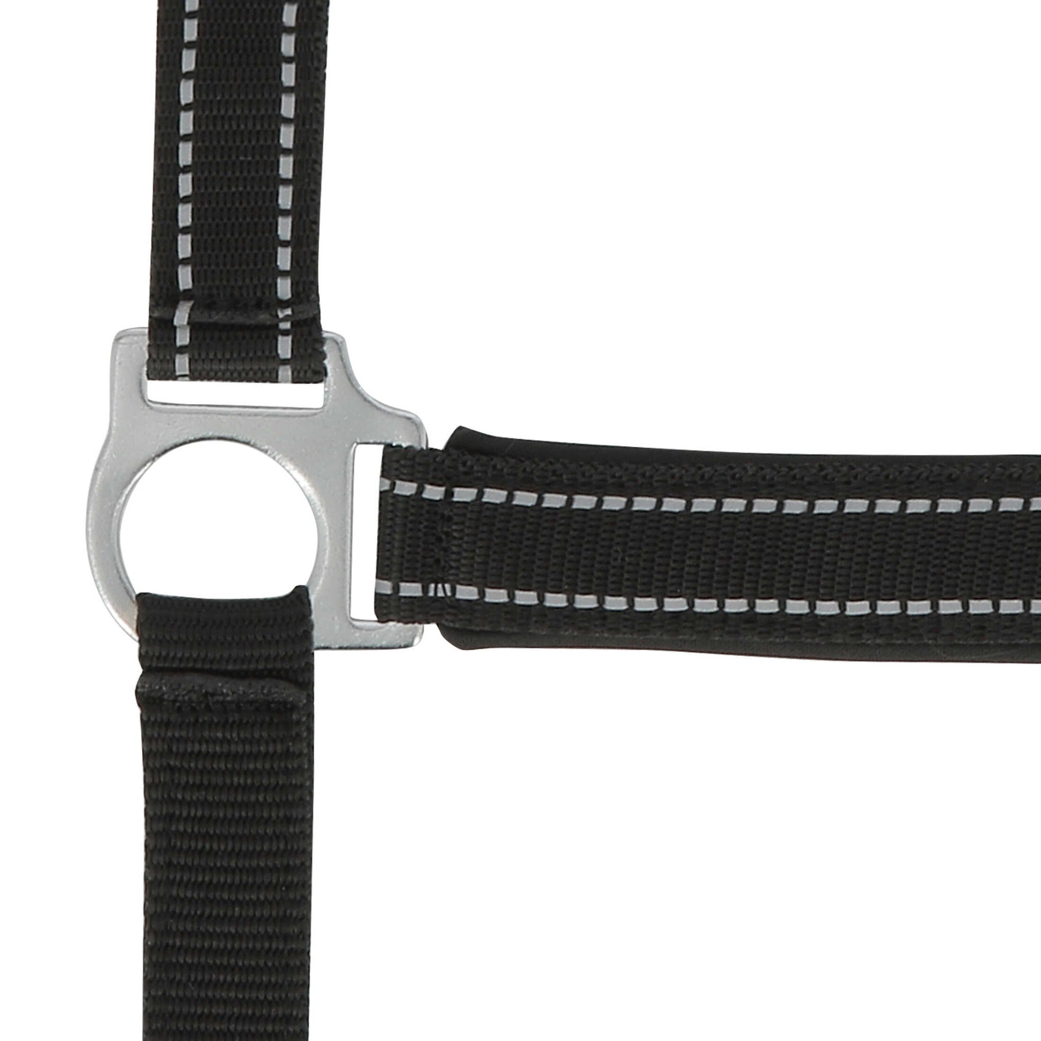 Norton Reflective halter Black 510630302