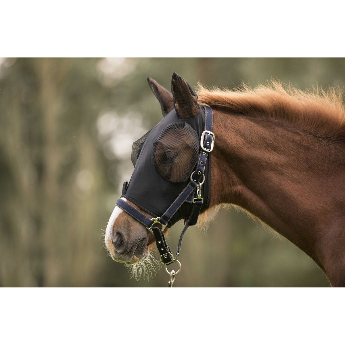 Lami-Cell Lycra Fly Mask - Black - 320035202_ambi_6