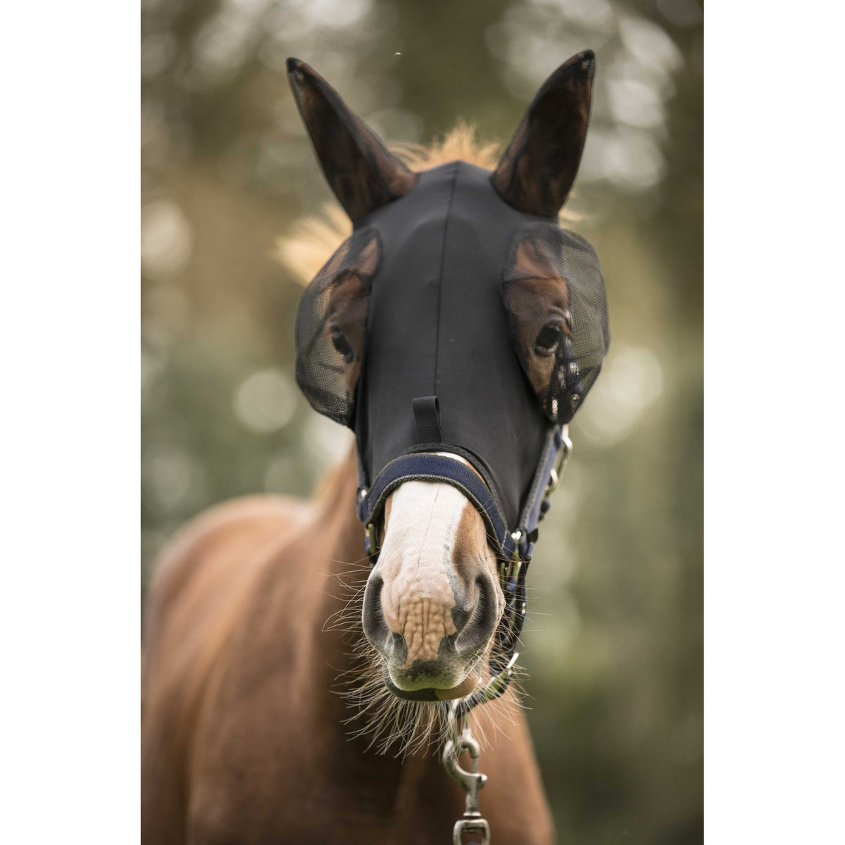 Lami-Cell Lycra Fly Mask - Black - 320035202_ambi_7