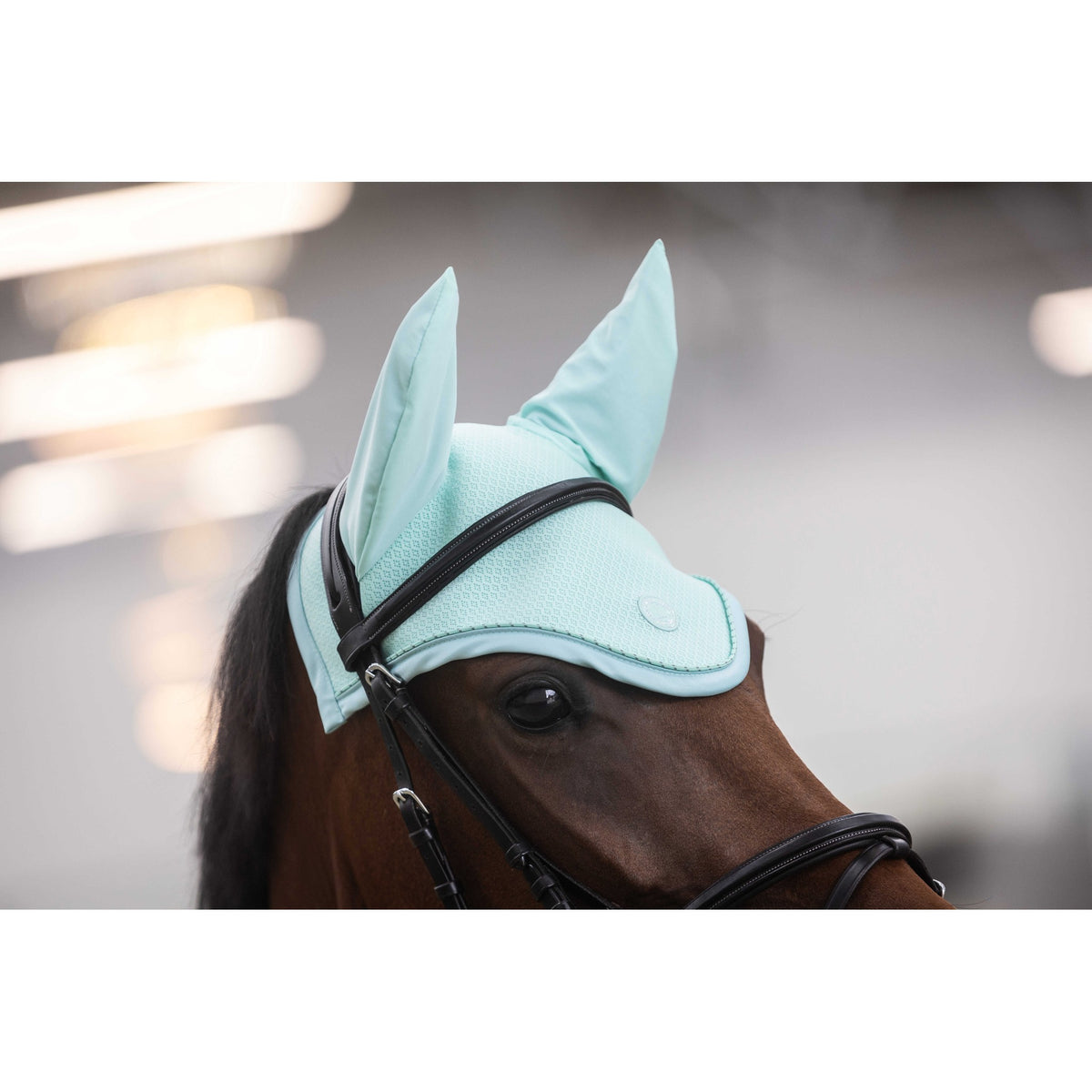 Lami-Cell Gleam Fly Veil - Mint/green - 320040318_ambi_1