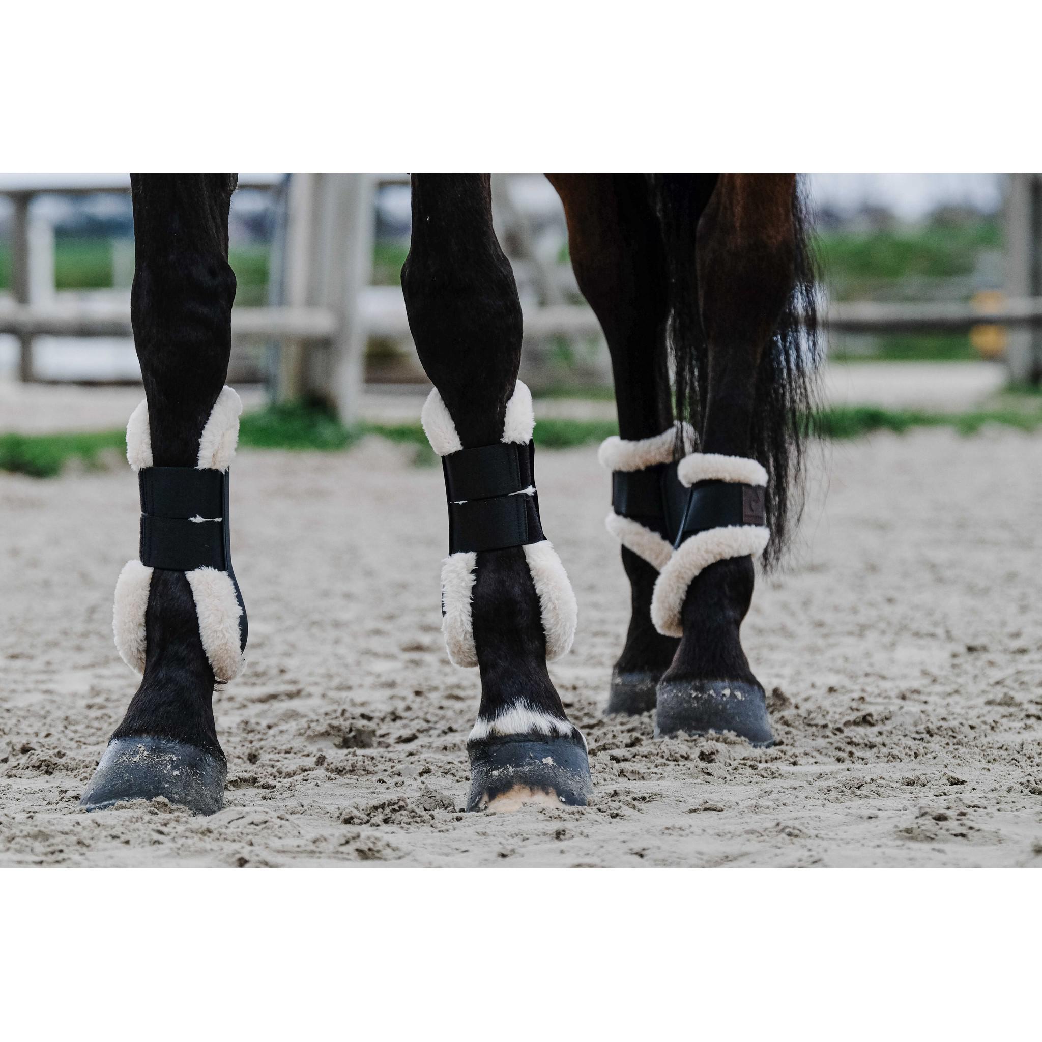 EQUITHÈME Boa Fetlock boots Black 530819302