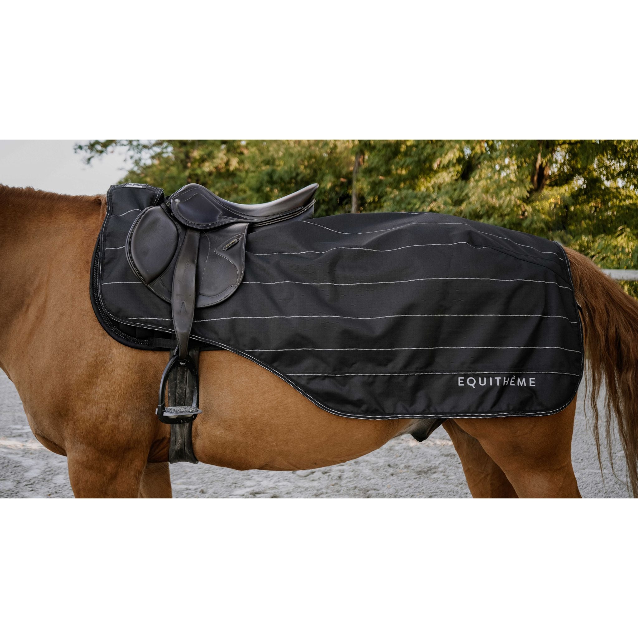 EQUITHÈME Tyrex 600D Lumin Exercise Sheet Black - 400594140_ambi_1