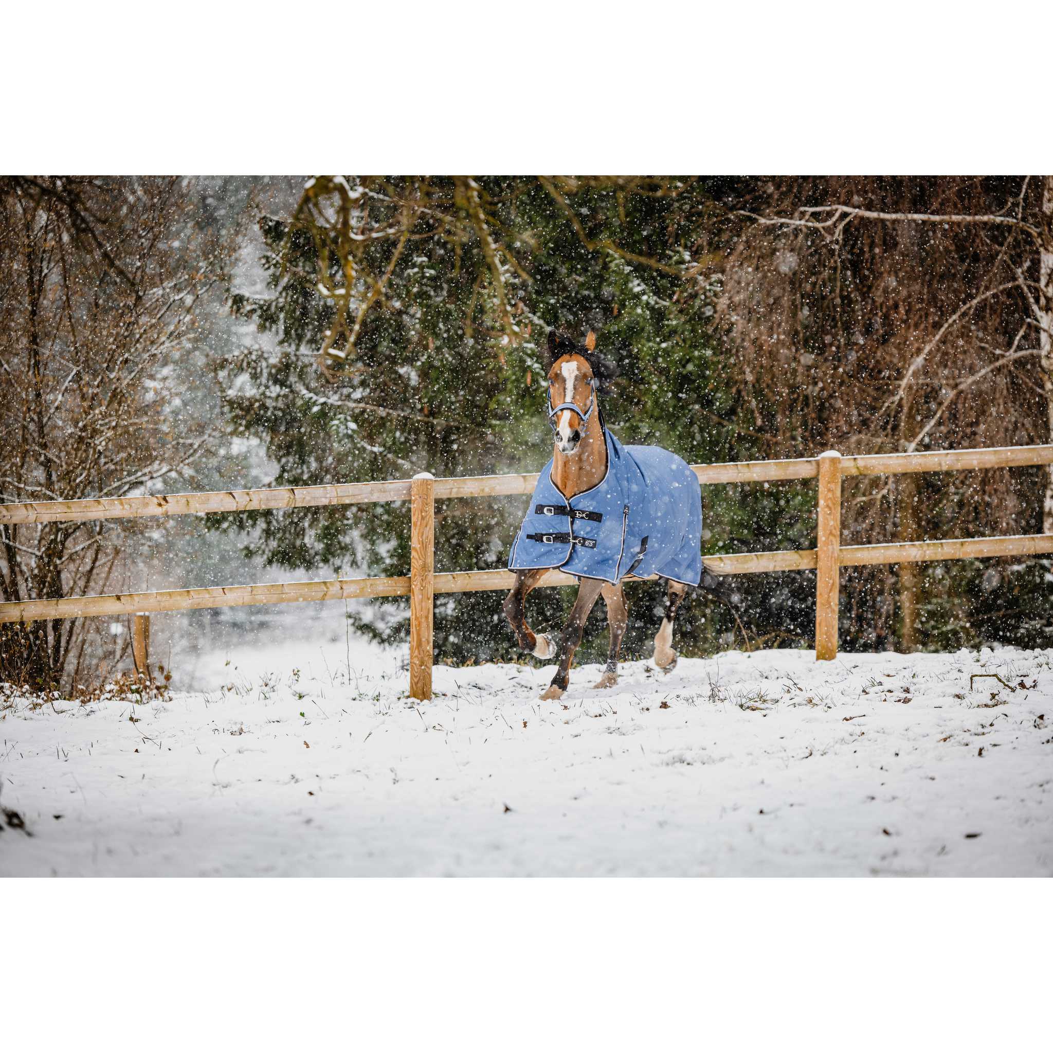 EQUITHÈME TYREX 1200D High Neck Horse Blanket Cobalt Blue - 400600470_ambi_10