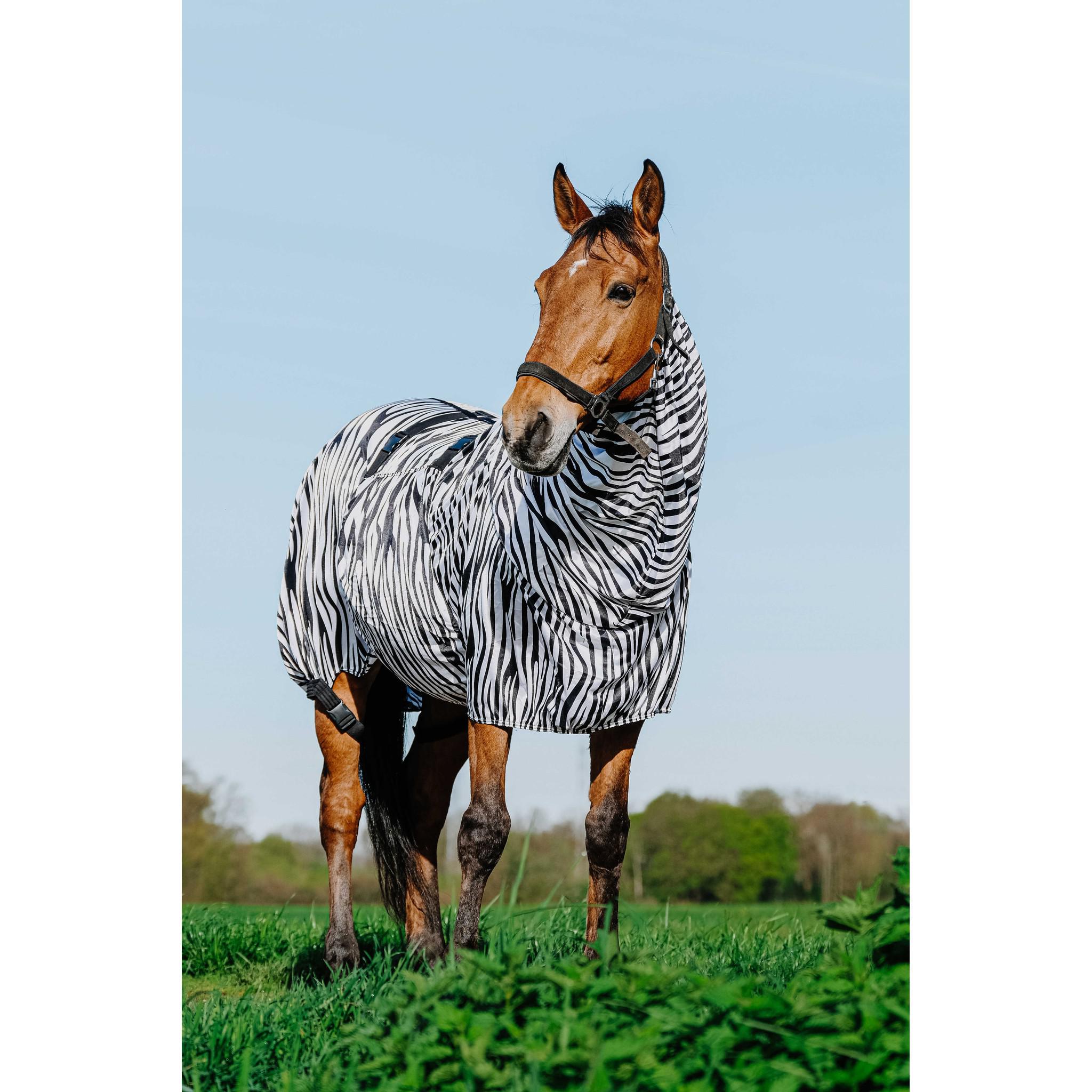 Riding World Anti-Eczema zebra Sheet Zebra 400708050