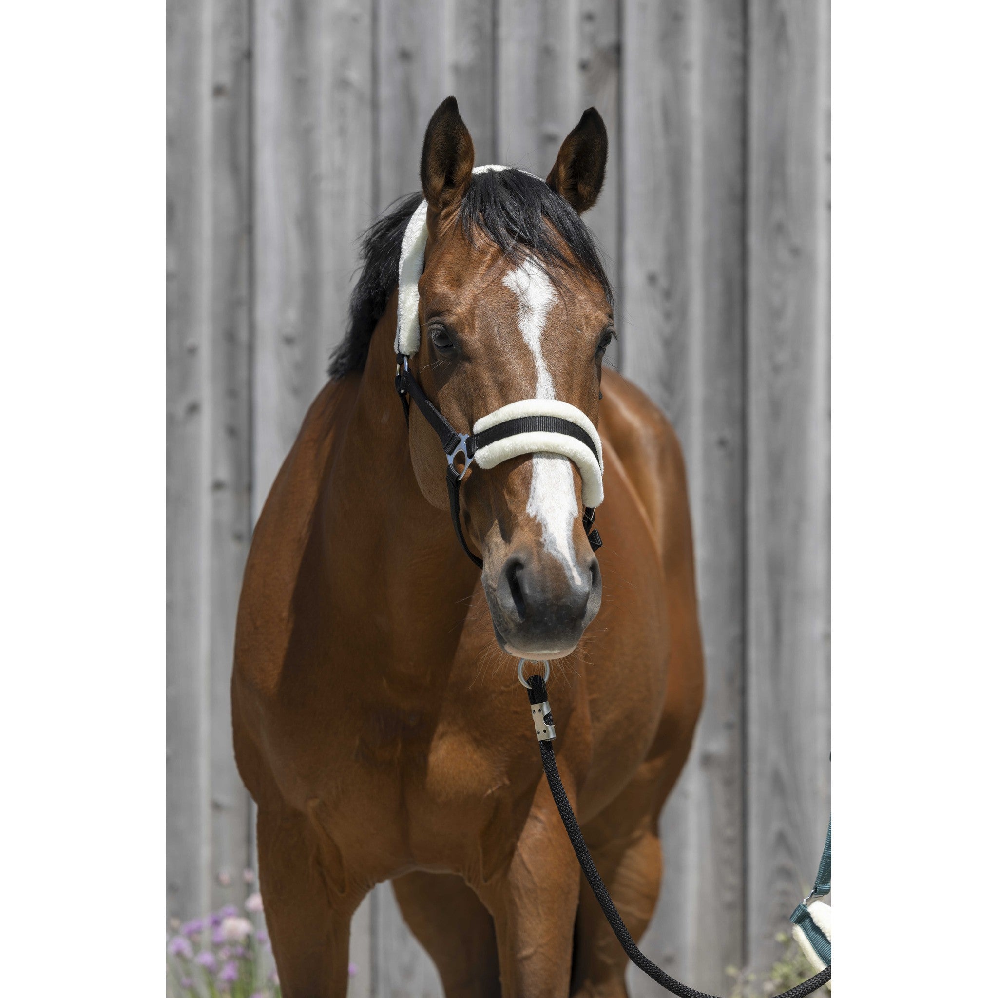 Riding World Synthetic Sheepskin Halter Black 510242302