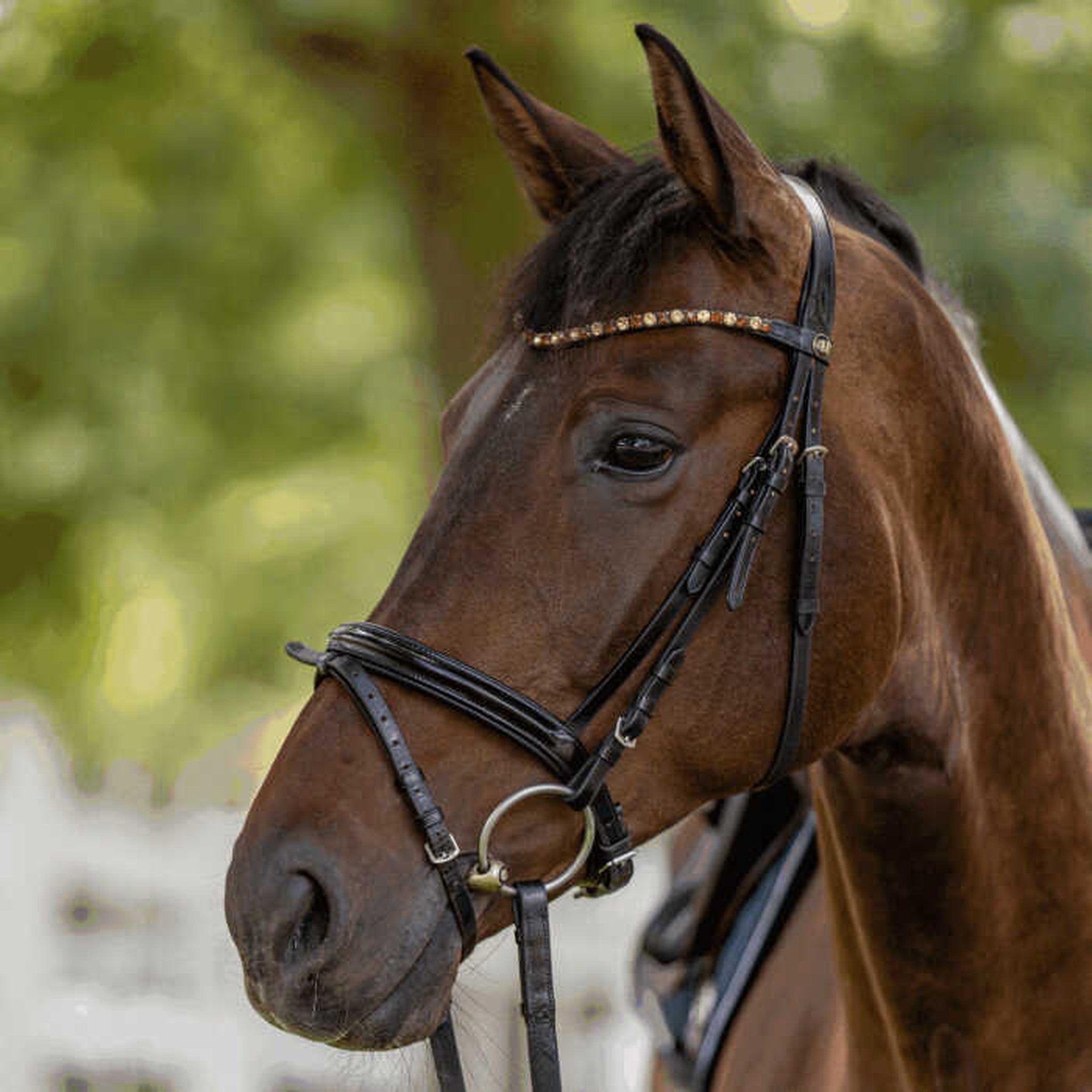 Sprenger Dynamic RS Loose Ring Snaffle double jointed 640426135