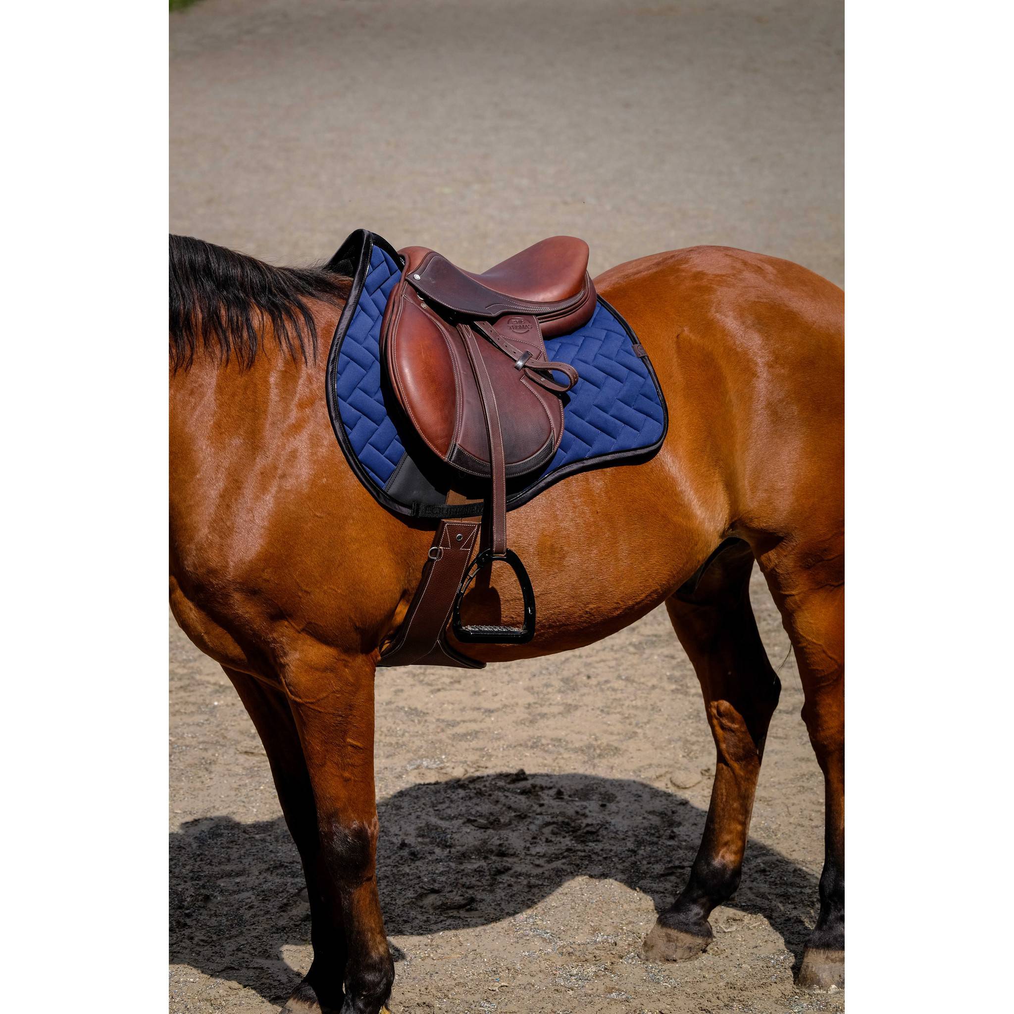EQUITHÈME Impulsion Saddle Pad - All purpose Navy blue 204006007