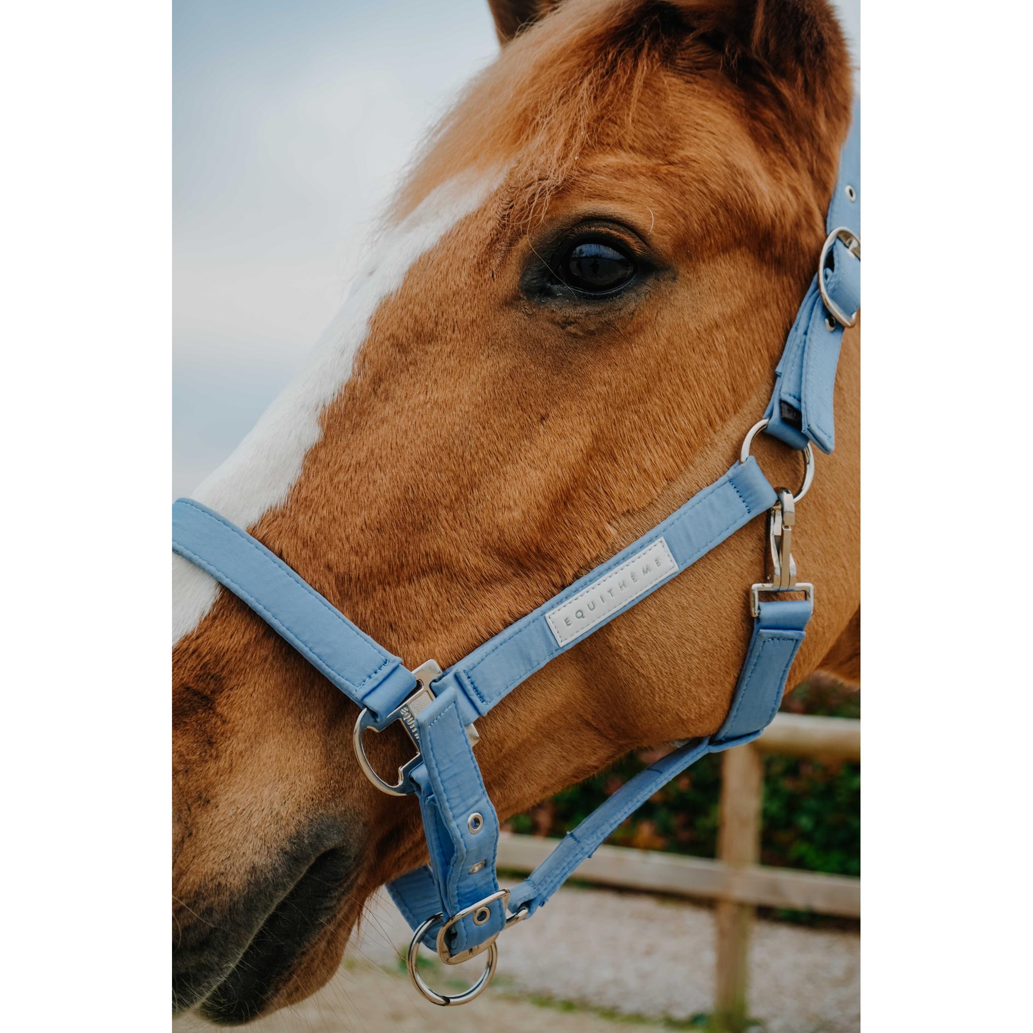 EQUITHEME Opal Halter Light blue - 510276111_ambi_3