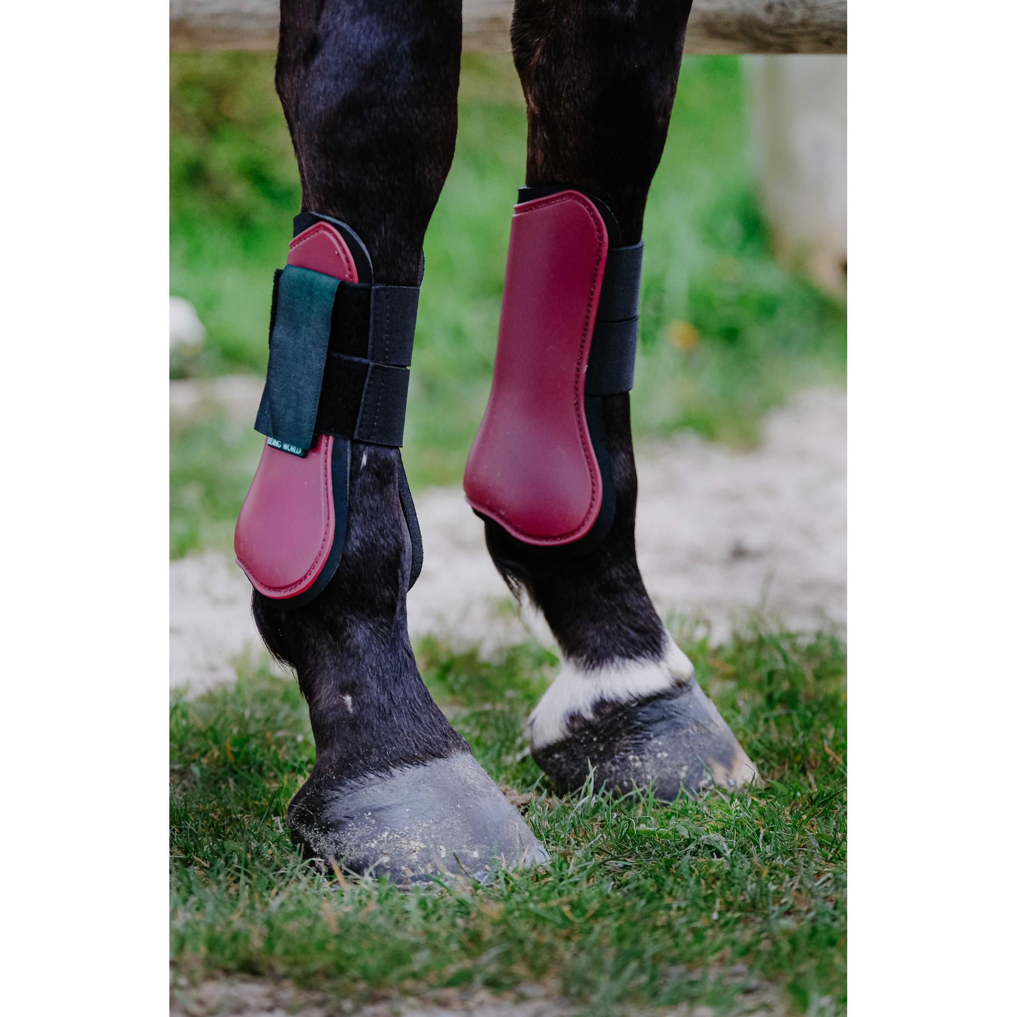 Riding World Tendon Boots Burgundy 530109033