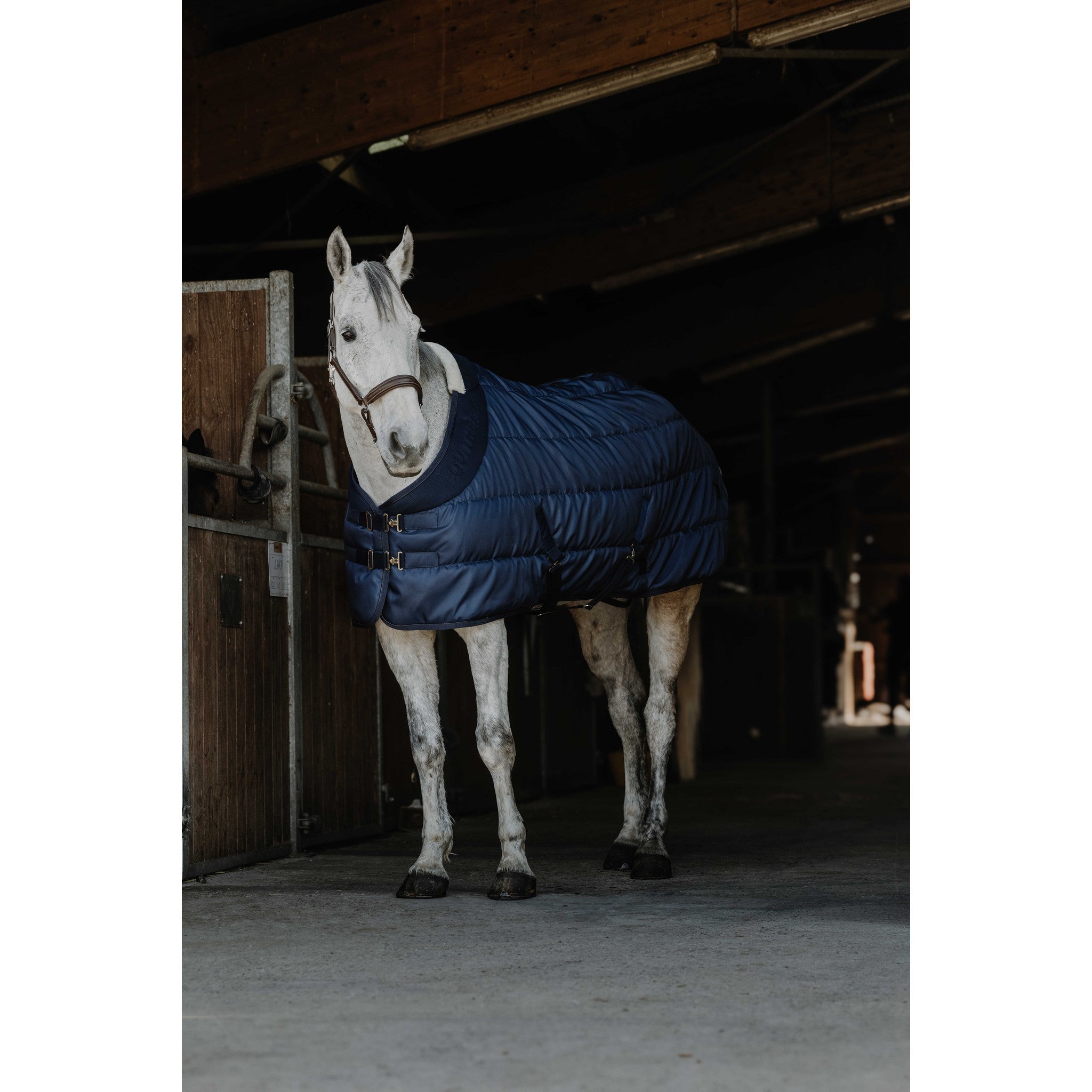 EQUITHÈME Confortech Stable Rug Navy blue 400744063