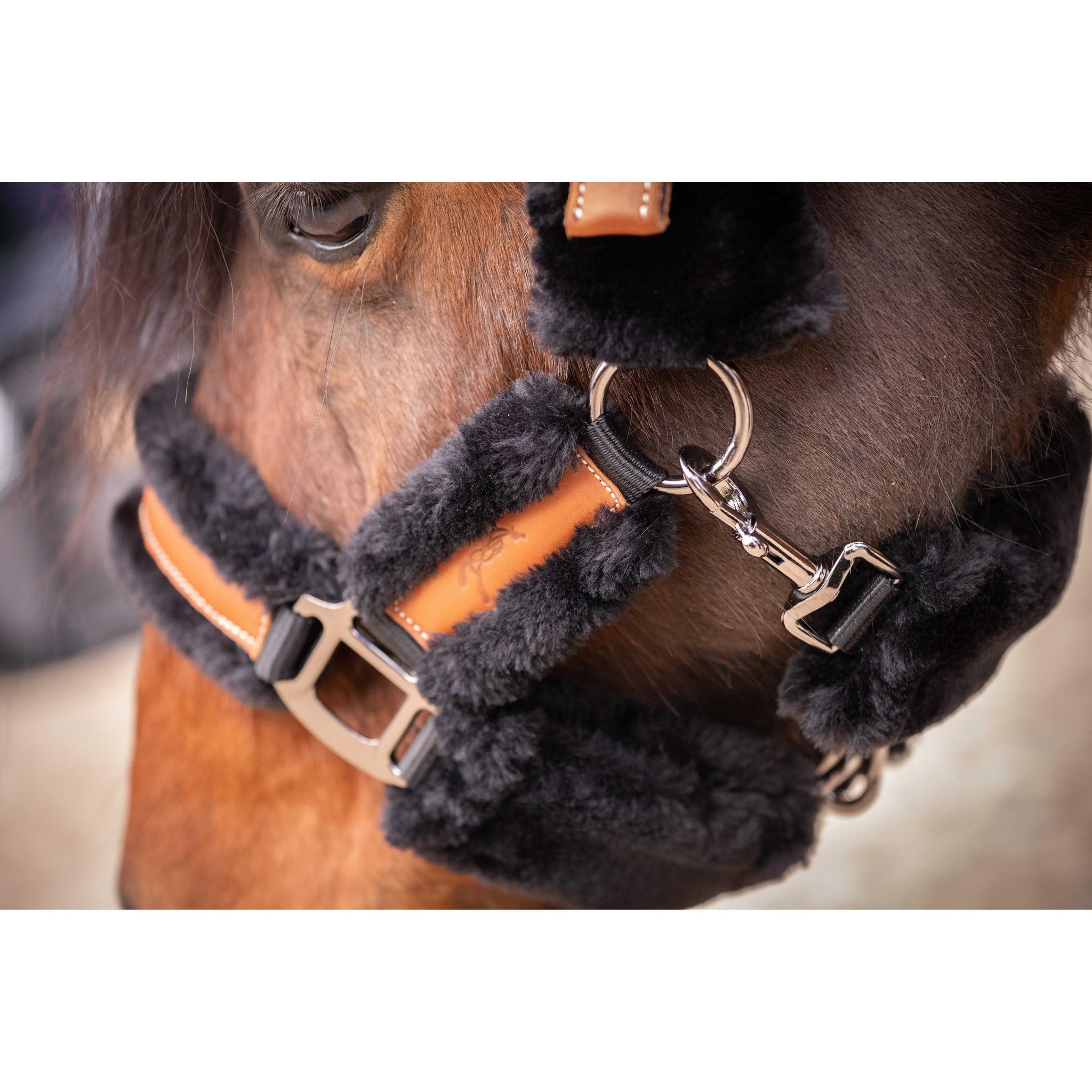 Pénélope Soft halter Black/black 510902025