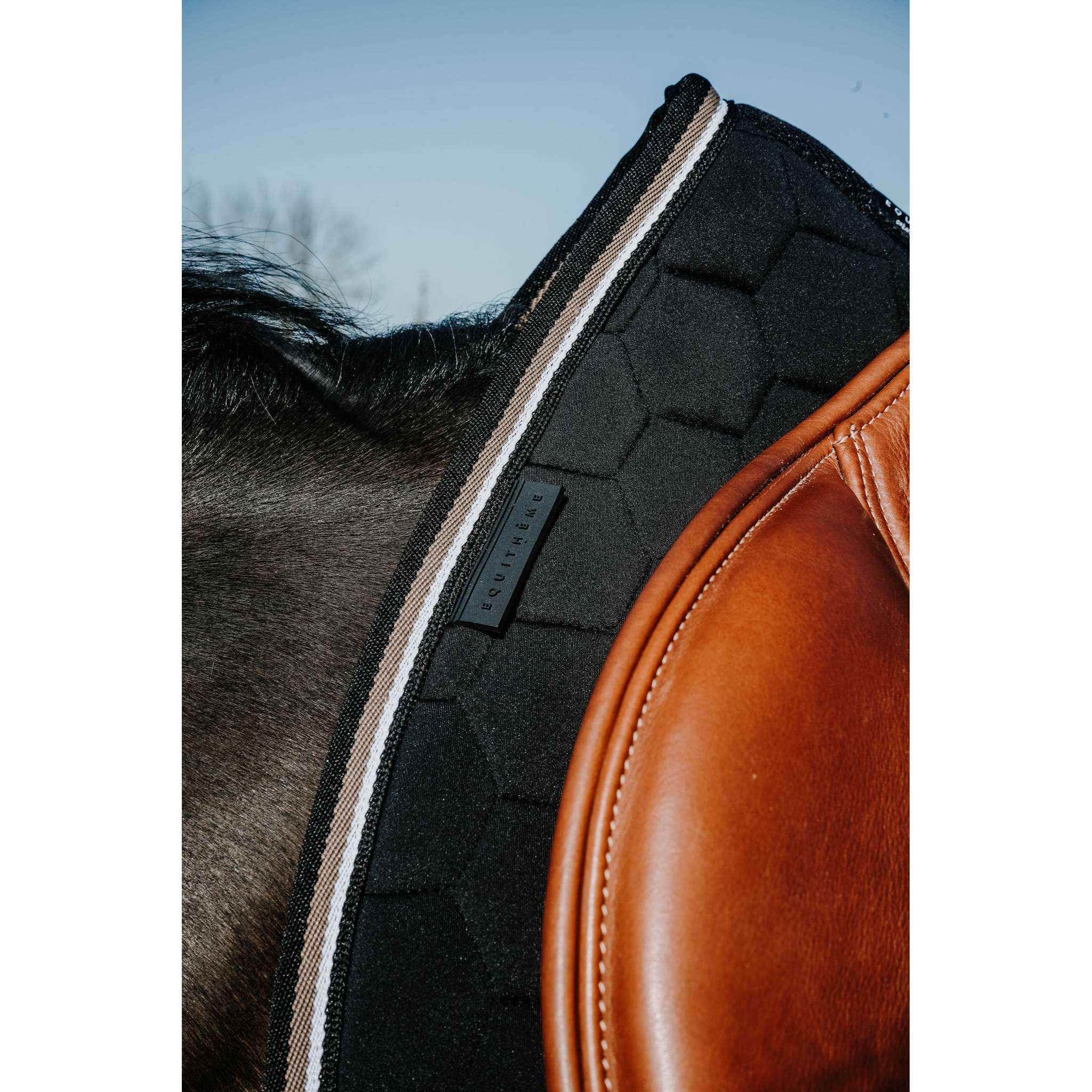 EQUITHÈME All-Purpose Saddle Pad - Coco Black - 204913002_ambi_3
