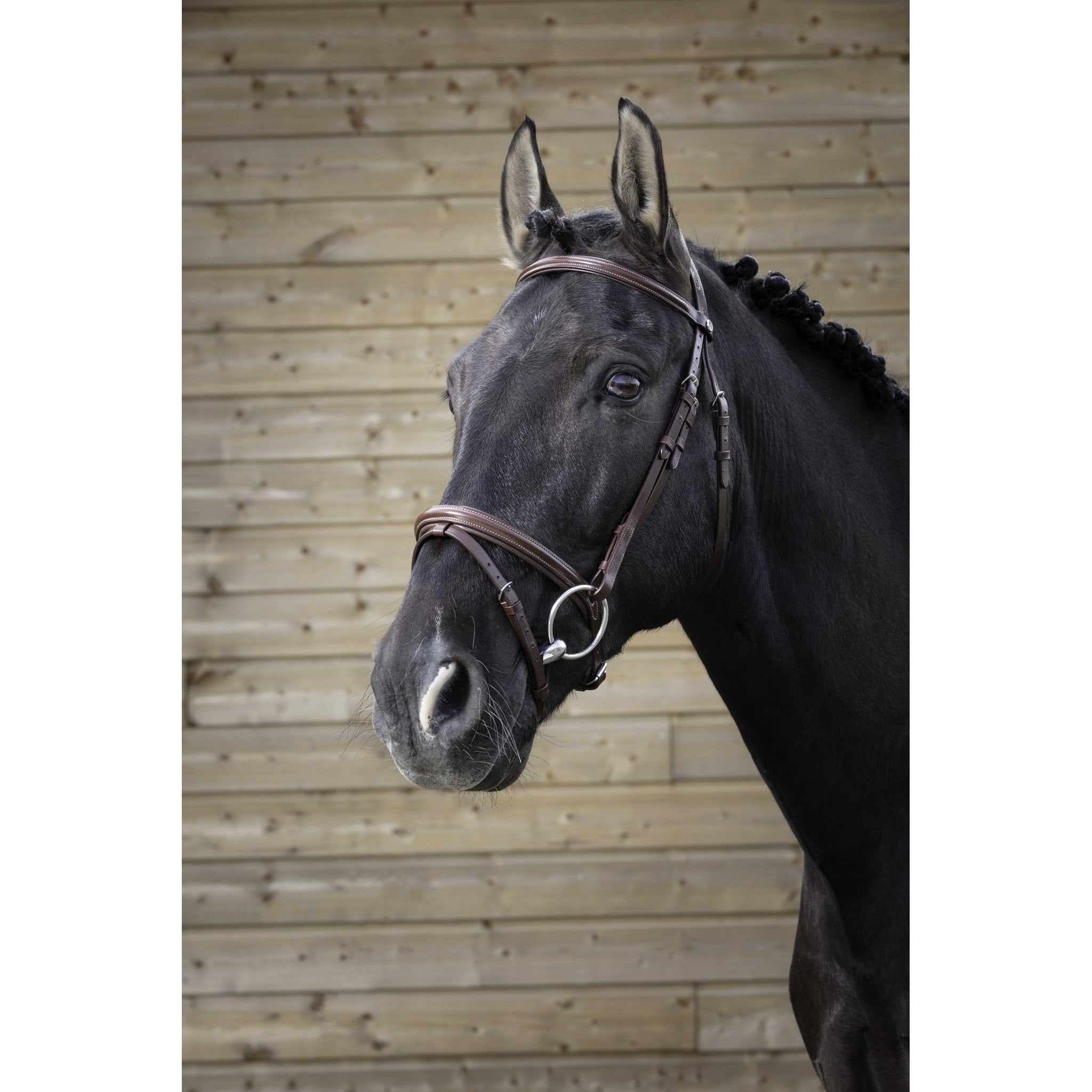 Norton Pro Fin Bridle Havana 301827318
