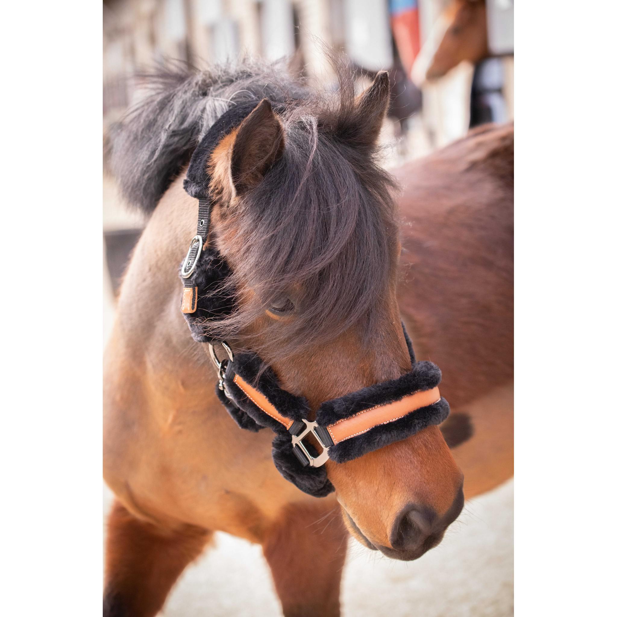 Pénélope Soft halter Black/ecru 510902025