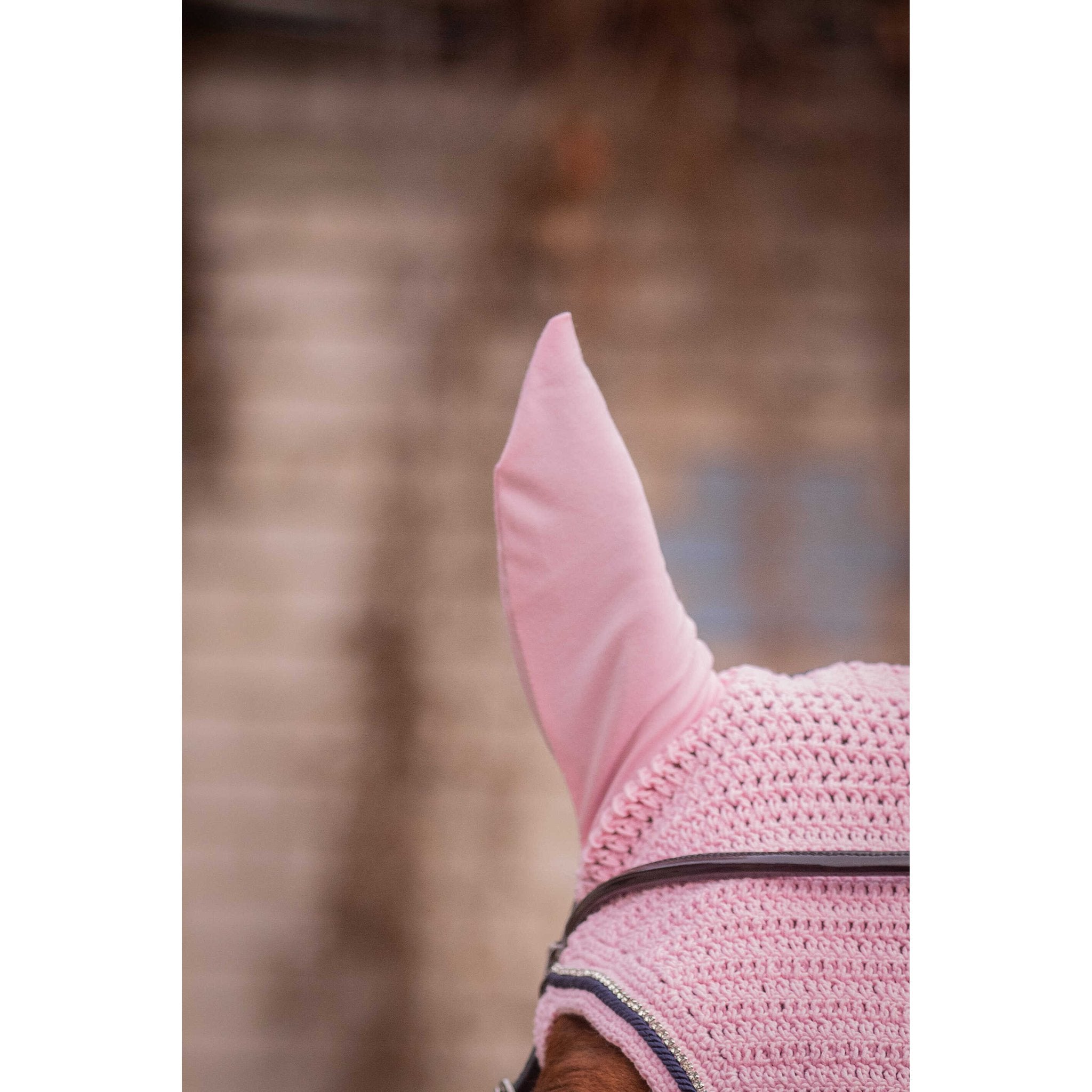 Pénélope Diamant Fly Veil Light pink - 306894013_ambi_4