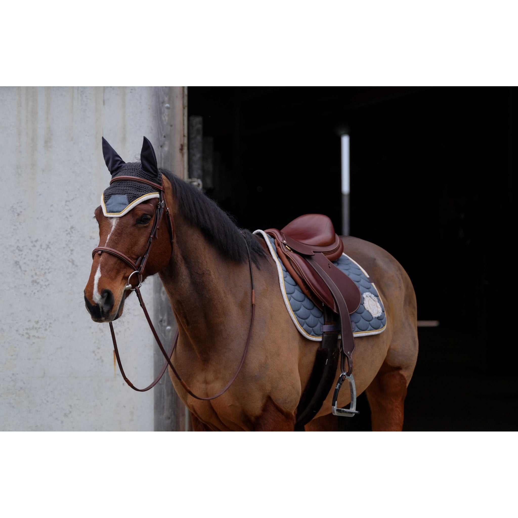 EQUITHÈME Denim All-Purpose Saddle Pad Grey - 204771011_ambi_3