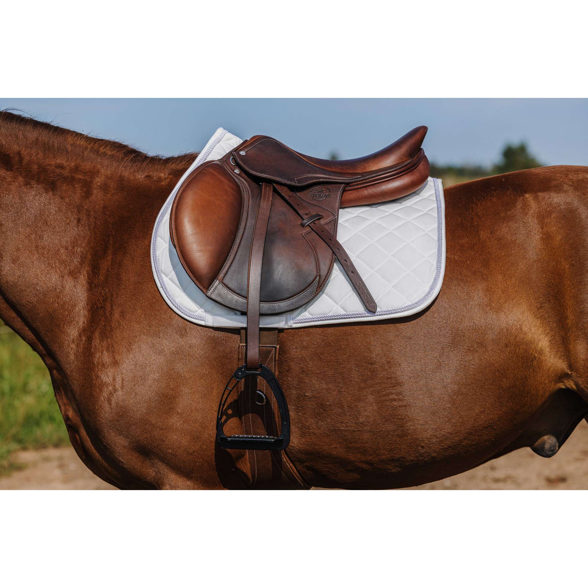 Riding World Velours saddle pad - All purpose White 204059001