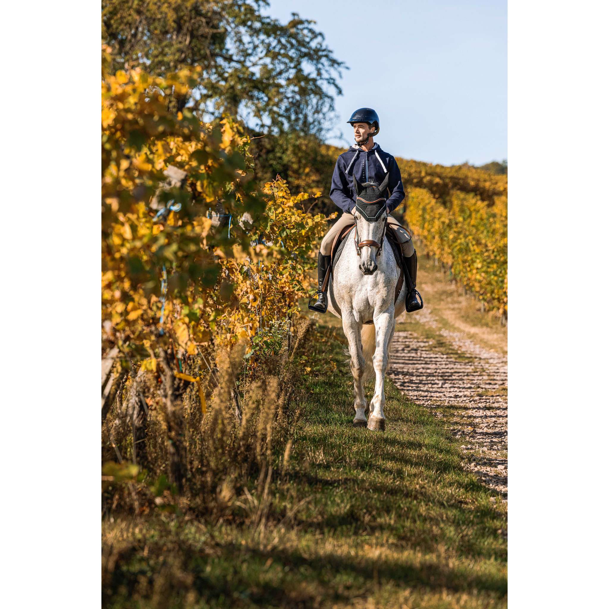 EQUITHÈME Hervé Sweatshirt - Men Navy blue 963212073