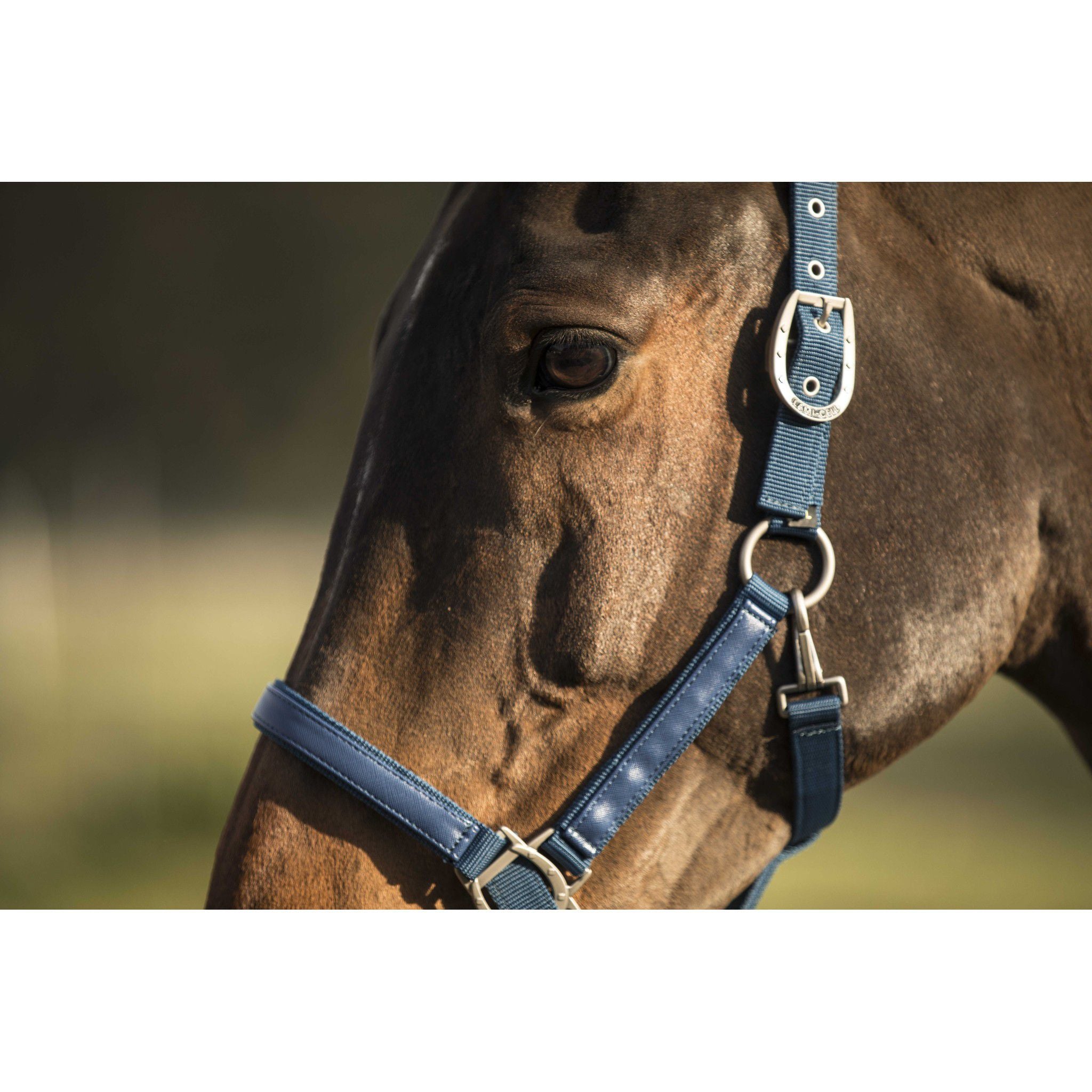 Lami-Cell LC Halter Blue 555008206