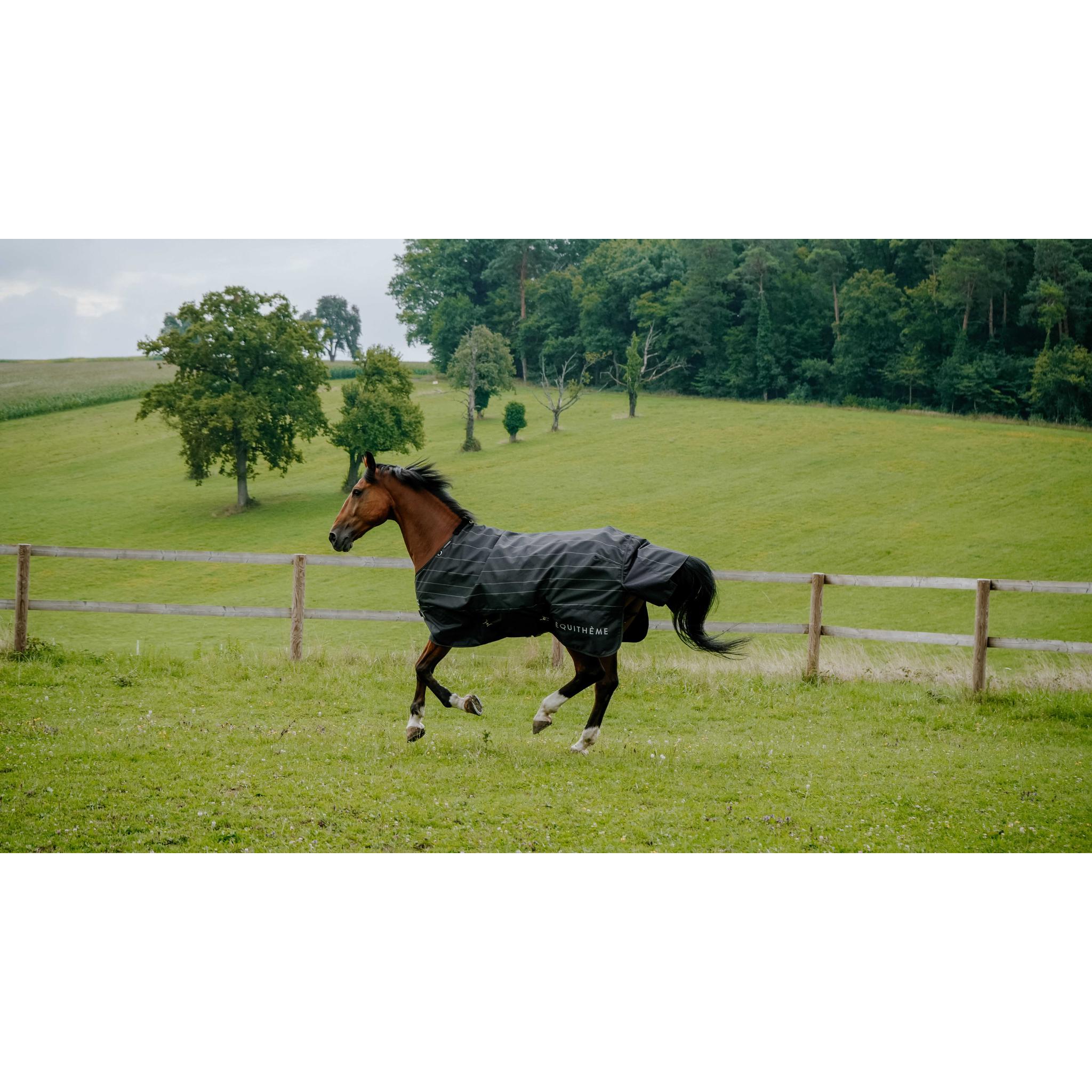 EQUITHÈME Tyrex 600D Lumin Turnout Rug - Standard Black - 400589059_ambi_1