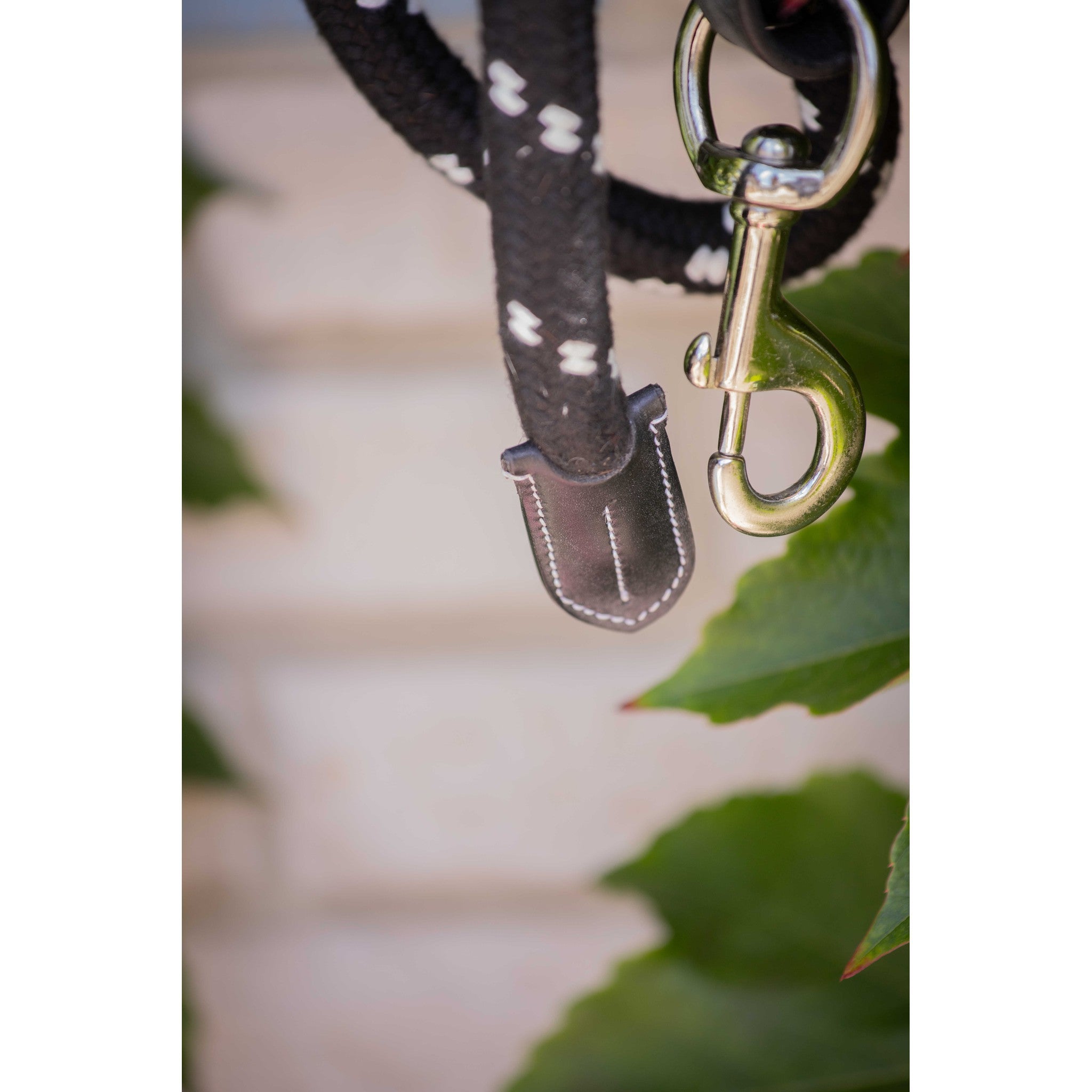 Pénélope rope and leather Lead Rope Black 520801002