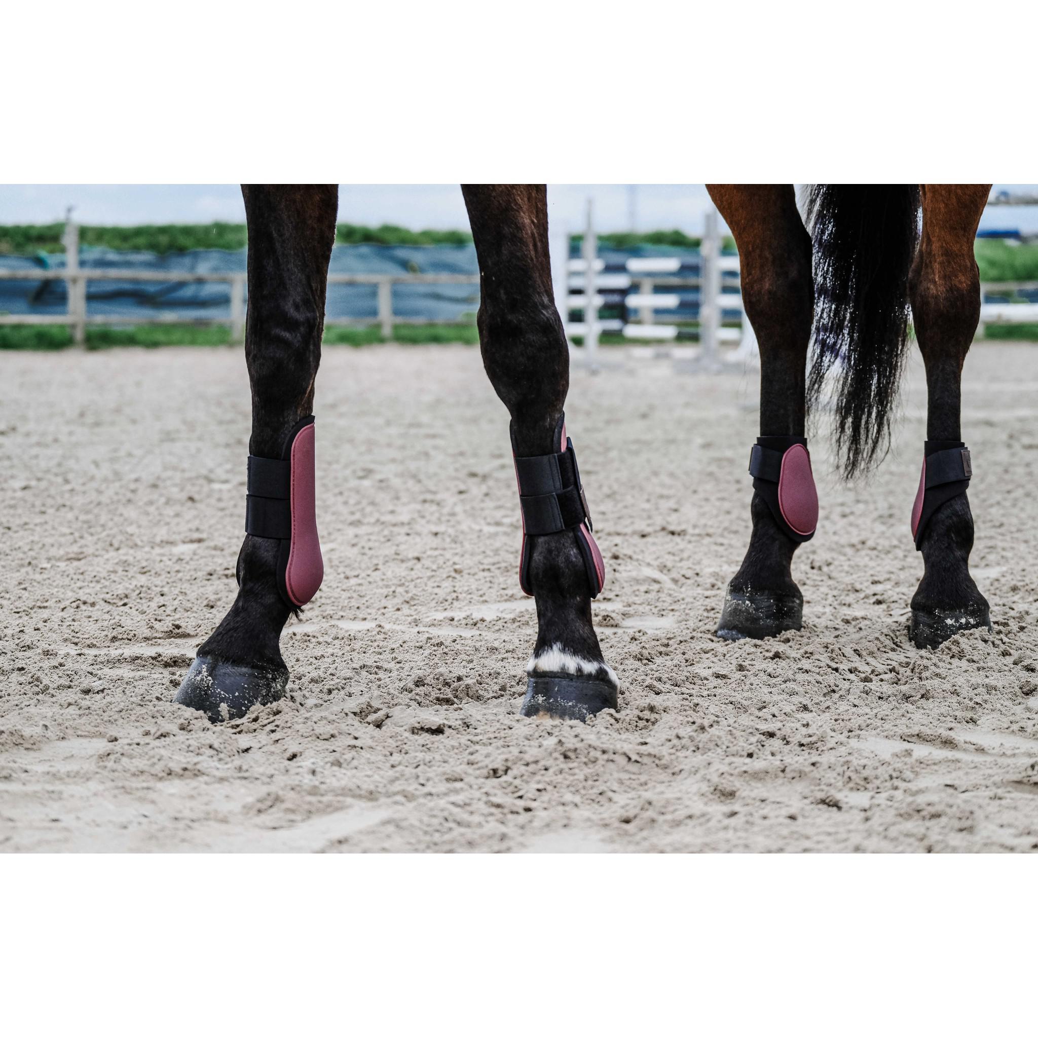 EQUITHÈME Tara Tendon boots Burgundy 530816333