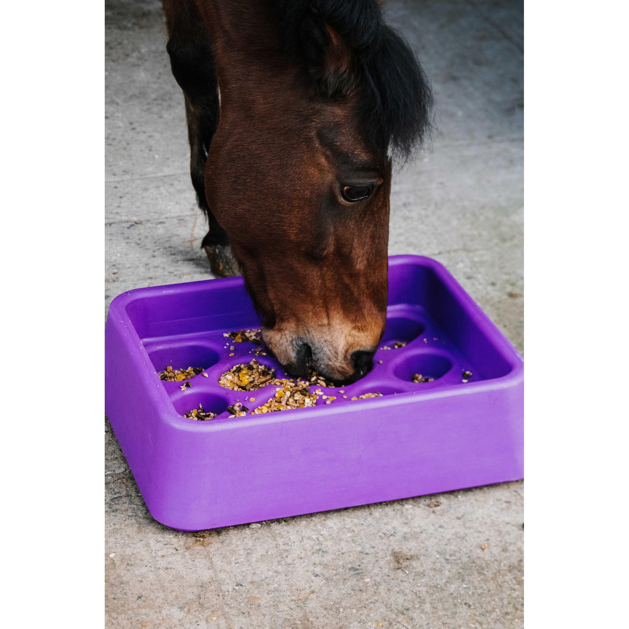 Hippo-Tonic Anti-gorging Feeder Purple 704014015