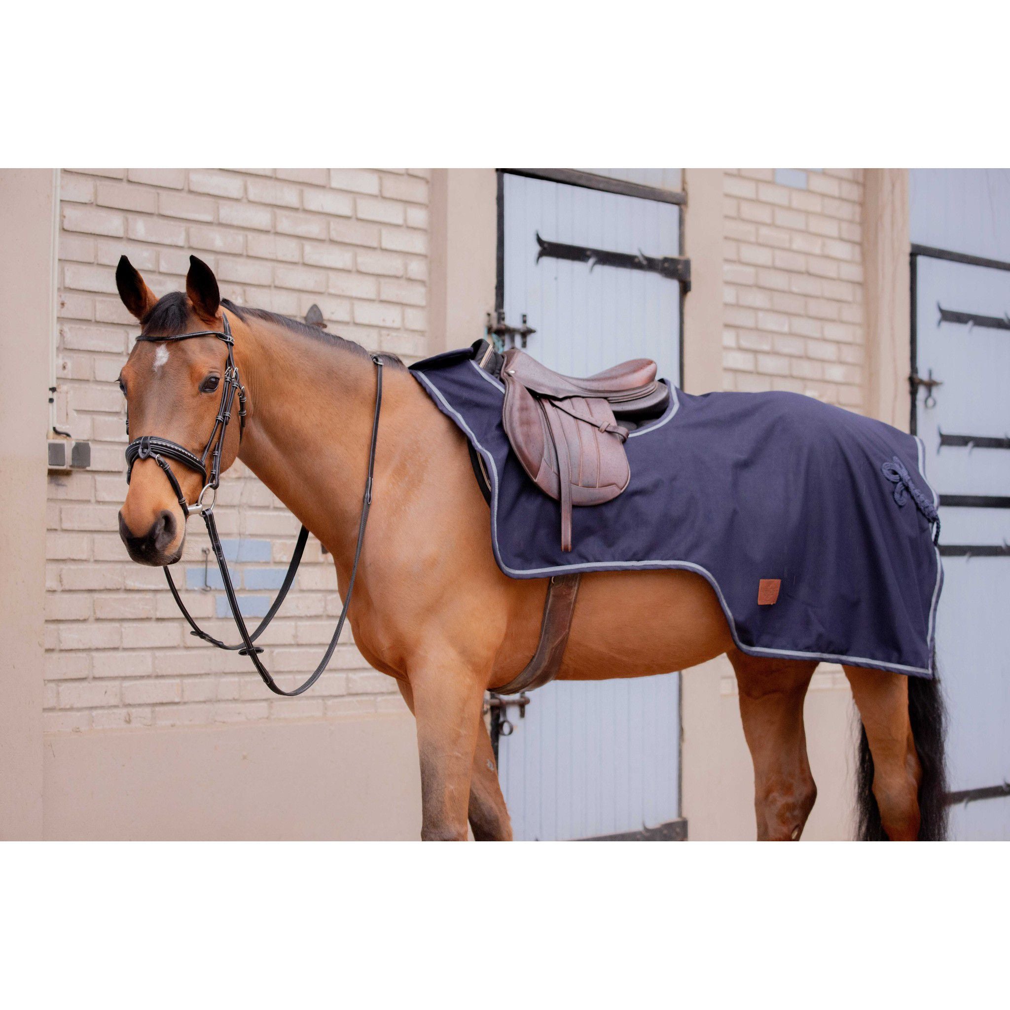 Paddock Sports Classic Rain Exercise Sheet Navy blue 400034763