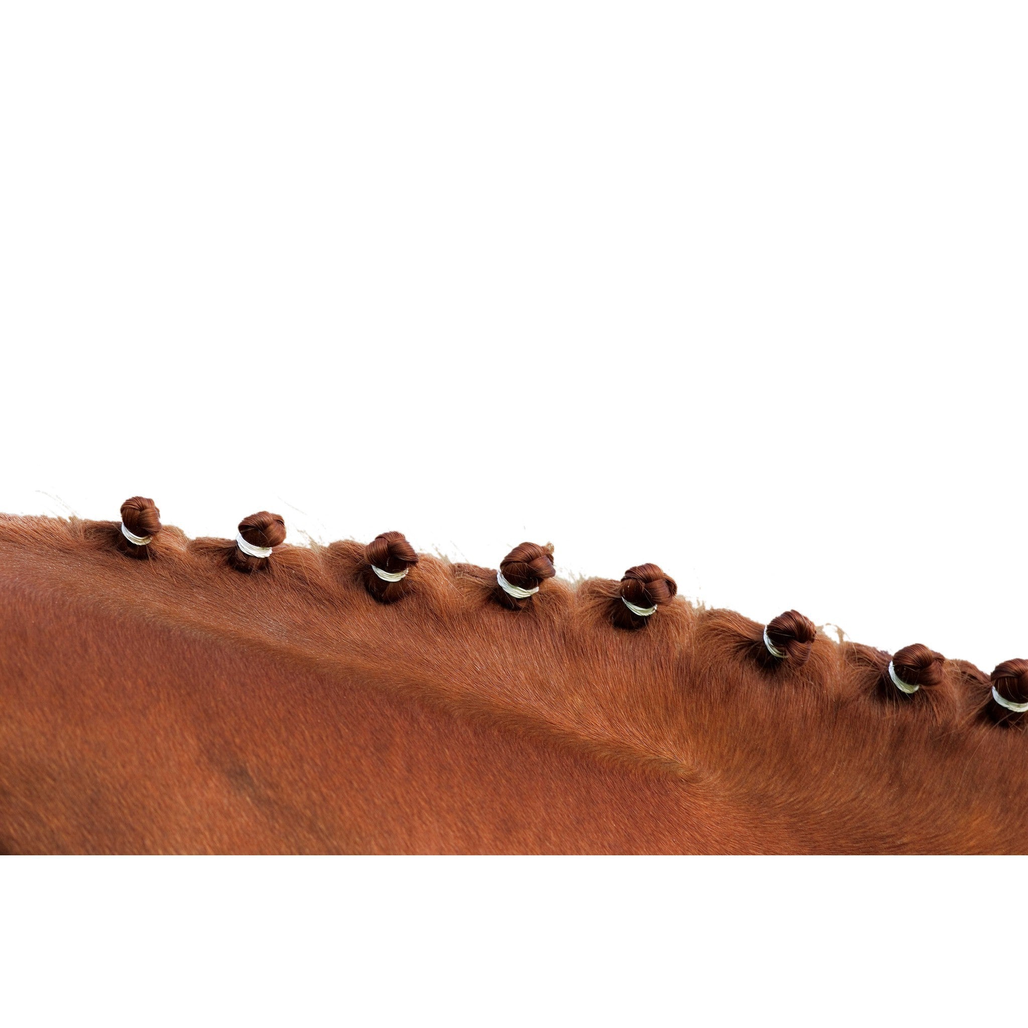 Hippo-Tonic Braiding Bands White 306770