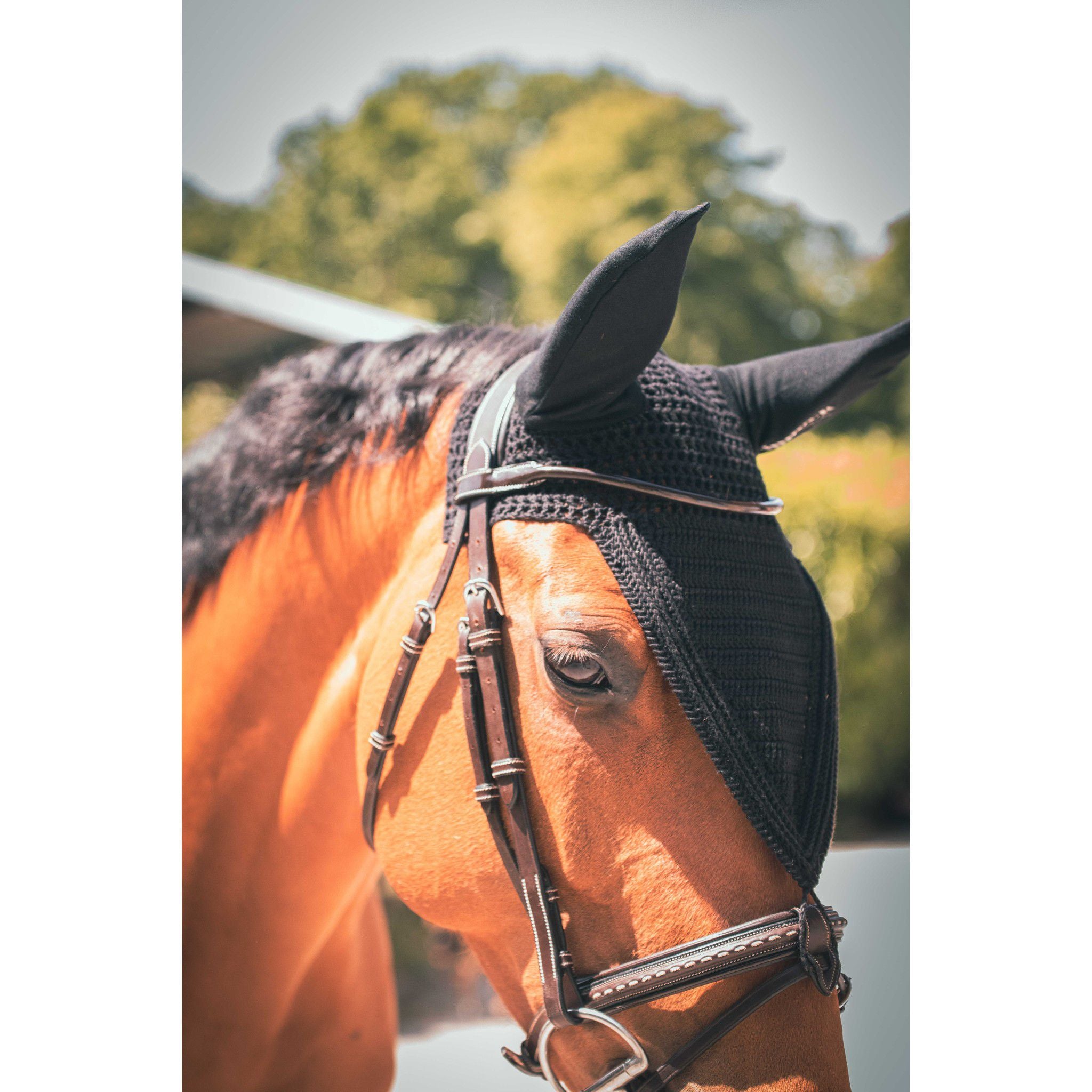 Paddock Sports Pro coton long Fly veil Black 306989002