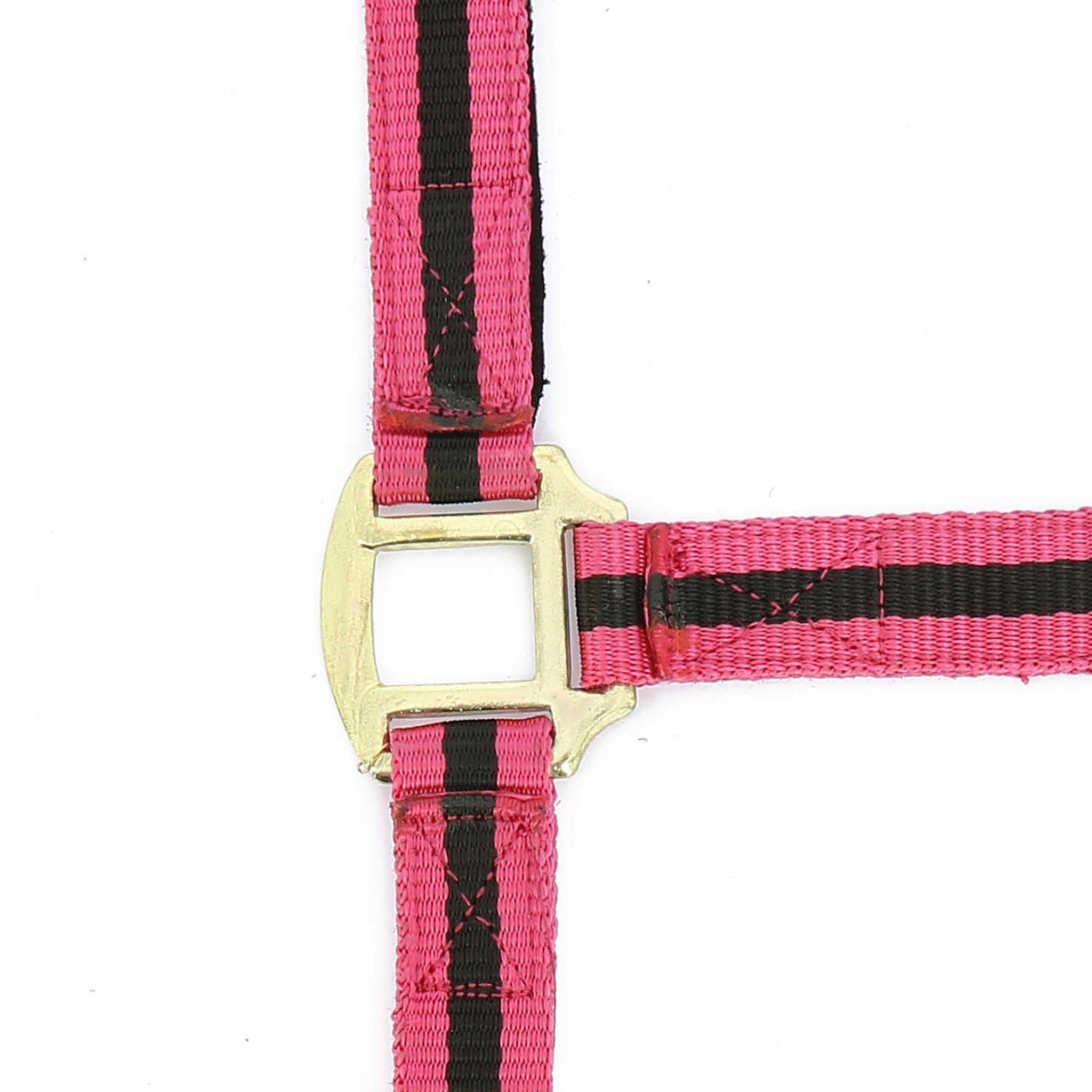 Norton Leather lined nylon headcollar Raspberry/black 510190352