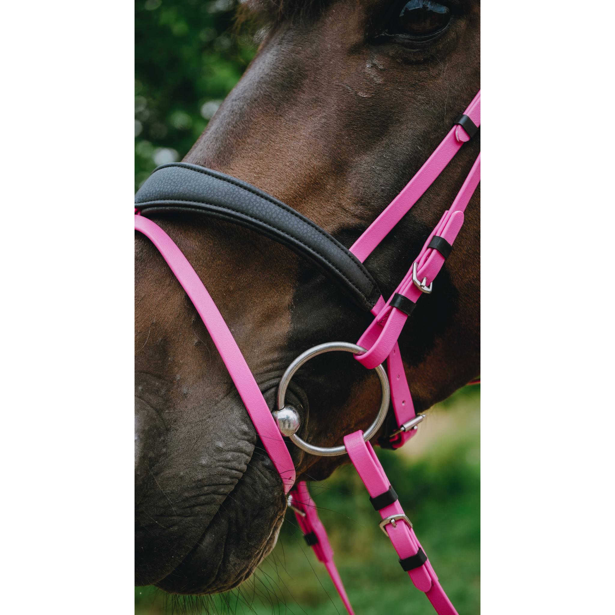 Norton Pop Bridle Pink 301928313