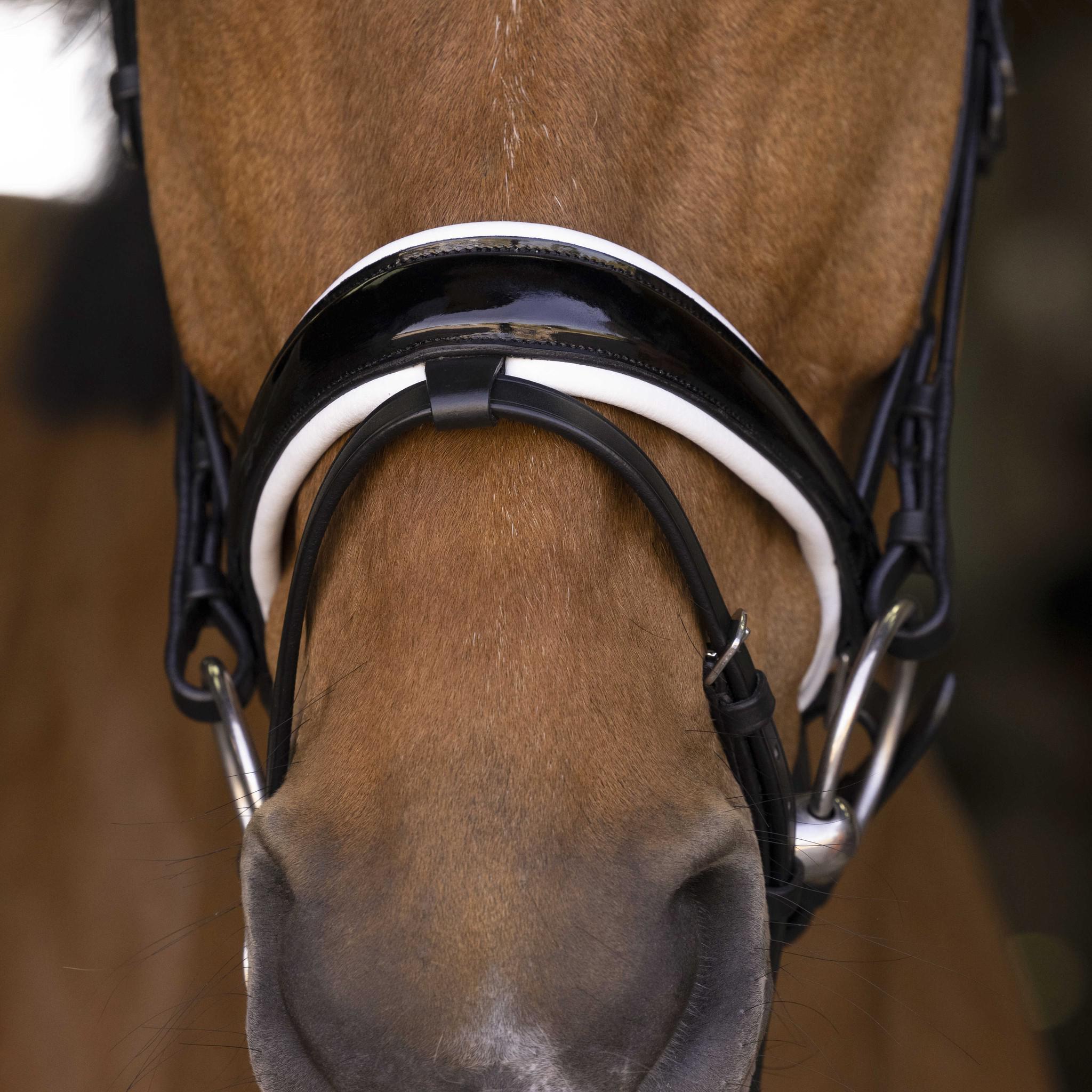 Norton Pro Bella Bridle Black 301891302