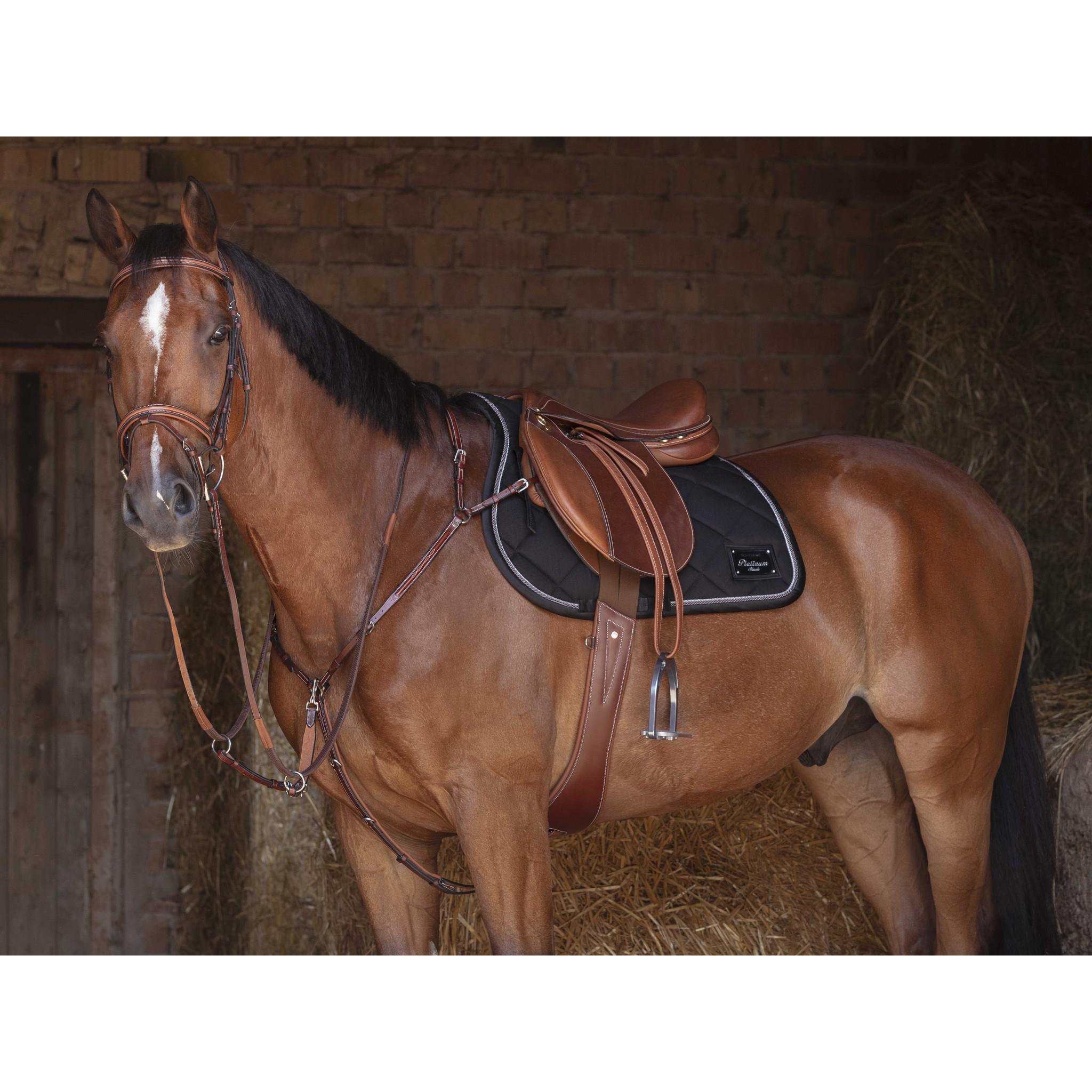 Eric Thomas Hybrid Breastplate Havana 306607318