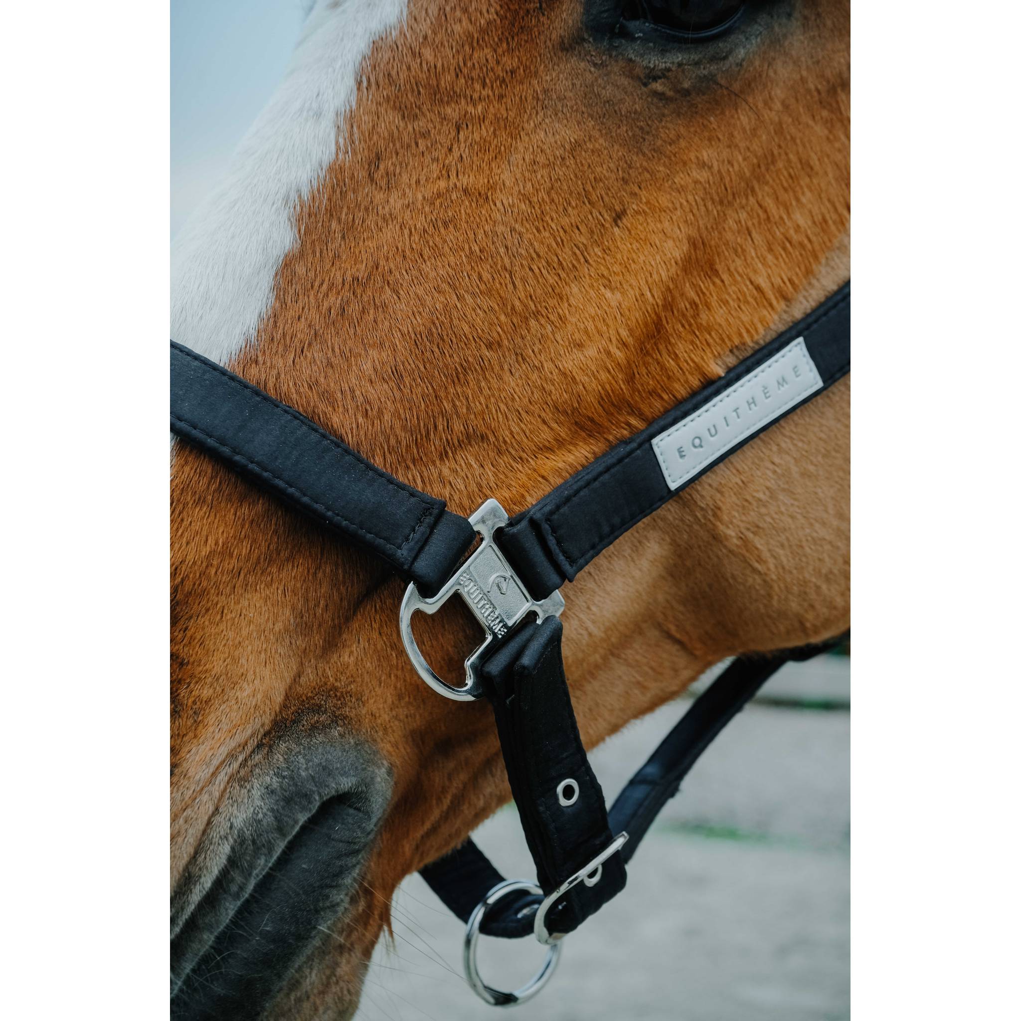 EQUITHEME Opal Halter Black - 510276302_ambi_2