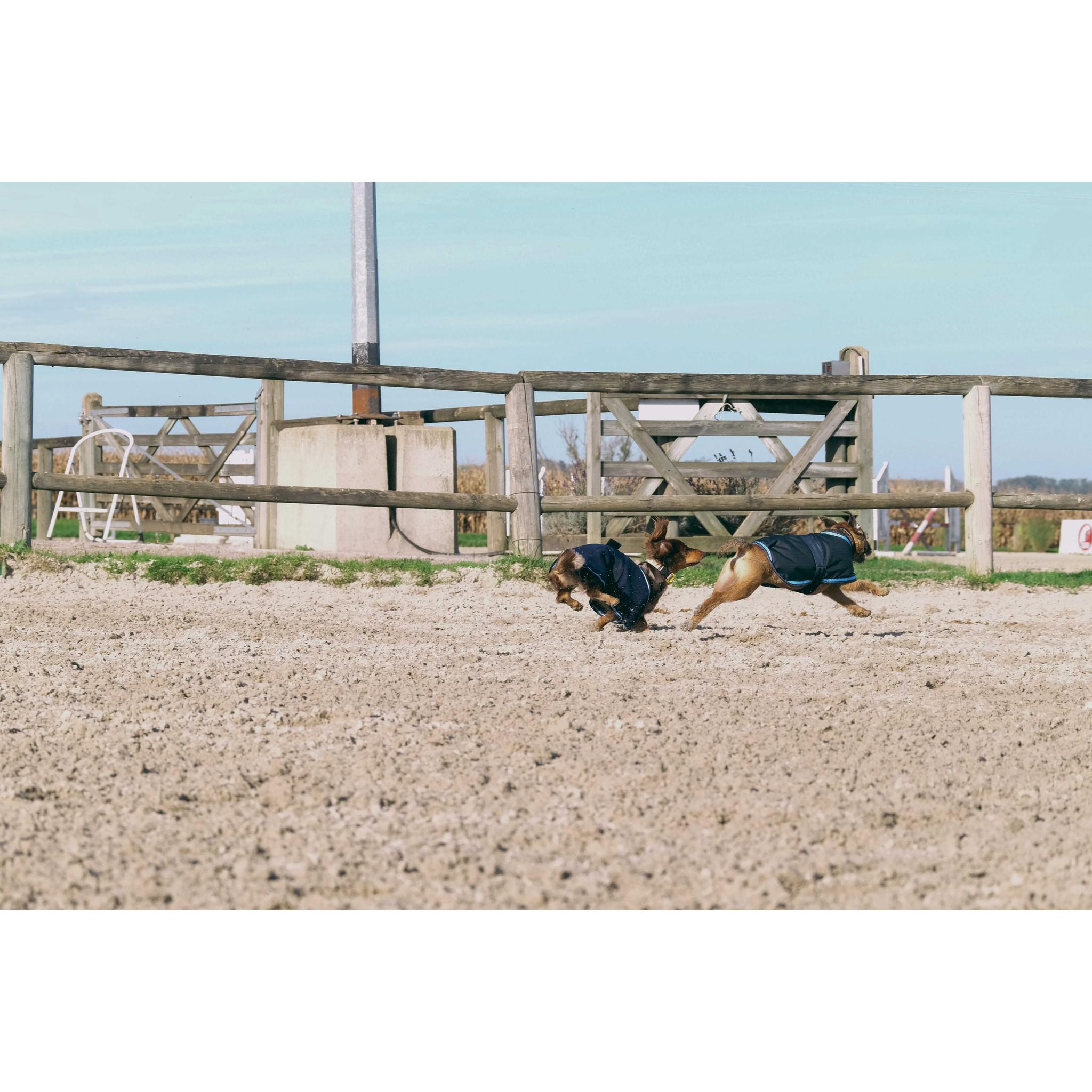 Riding World Fleece Dog rug Navy blue 409099740