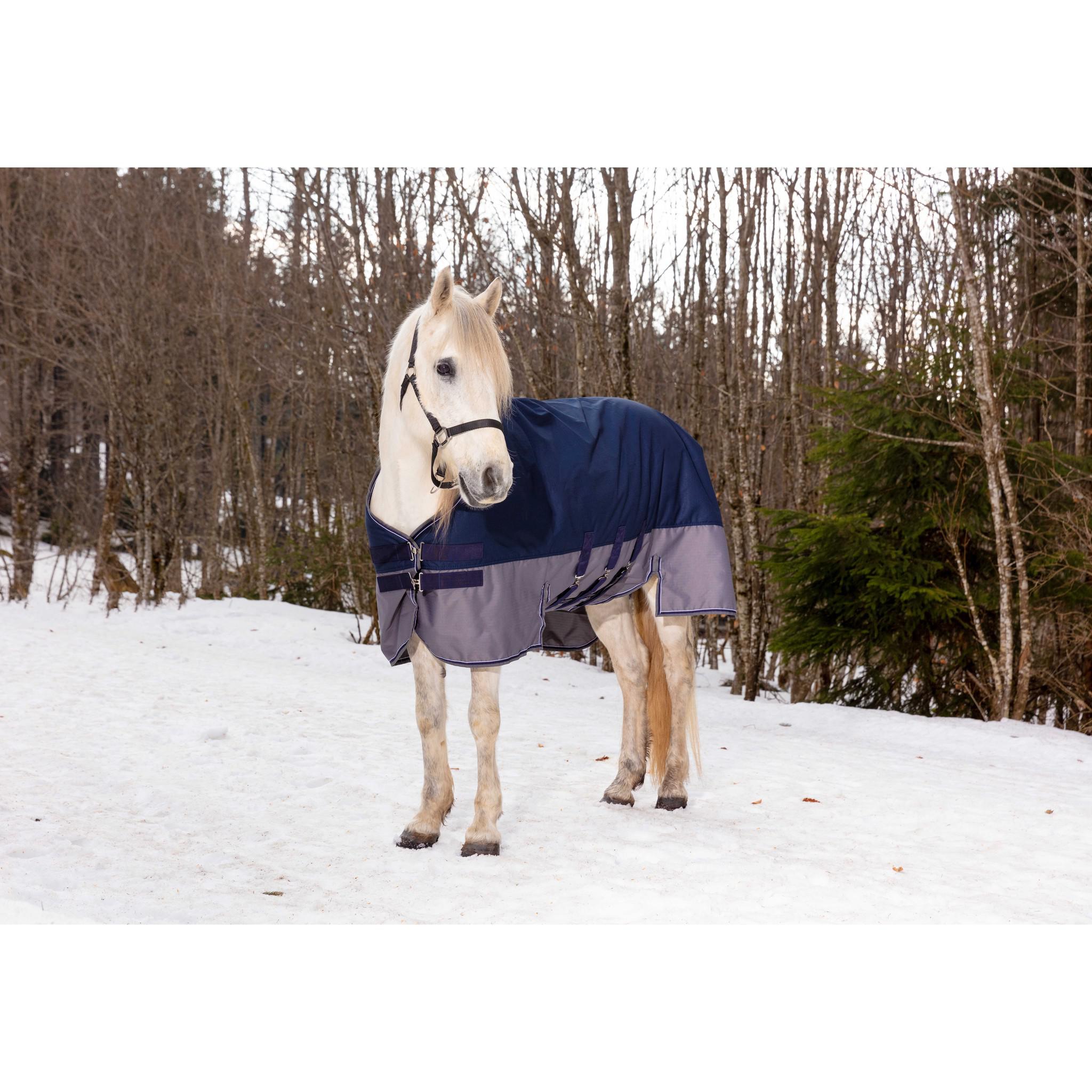 EQUITHÈME Tyrex New 600 D Turnout rug - belly belt Navy blue/grey 400922763