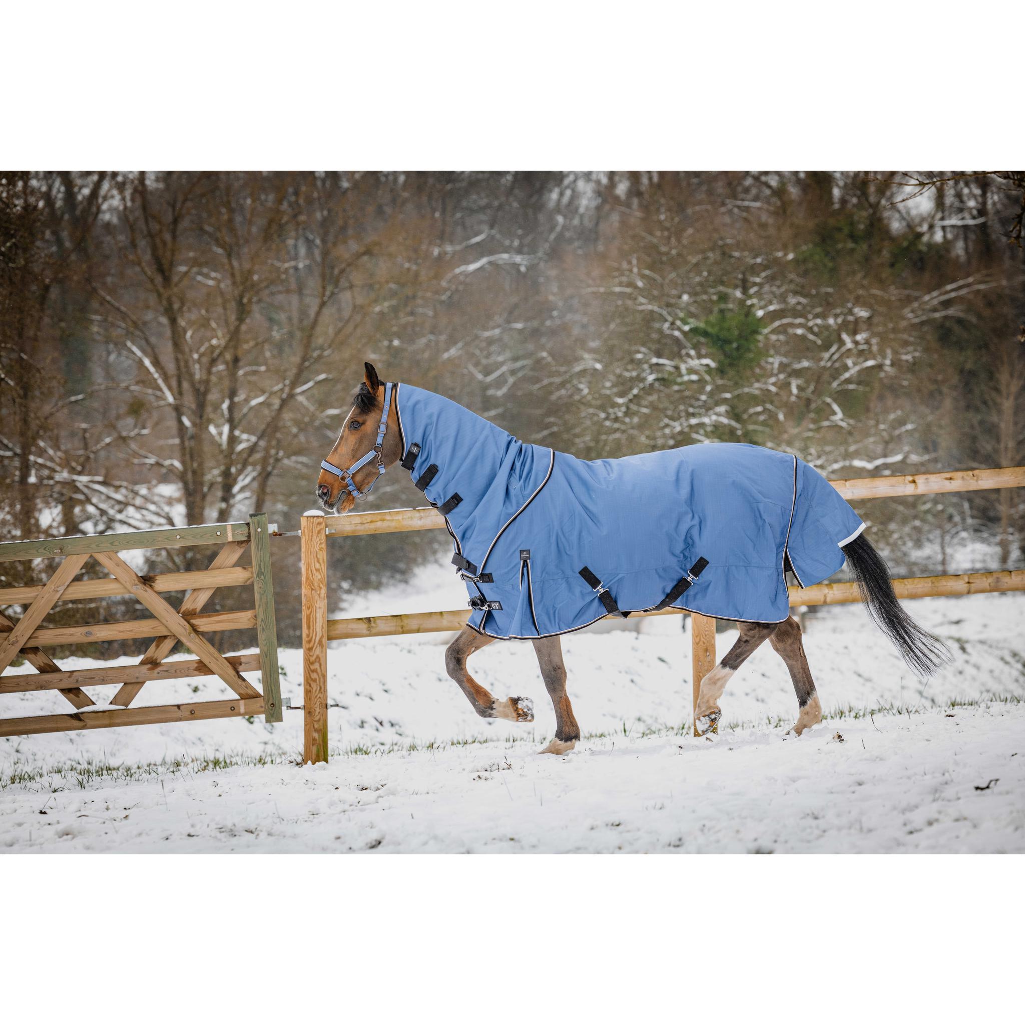 EQUITHEME Tyrex COBALT Neck Cover Blue - 400050061_ambi_4