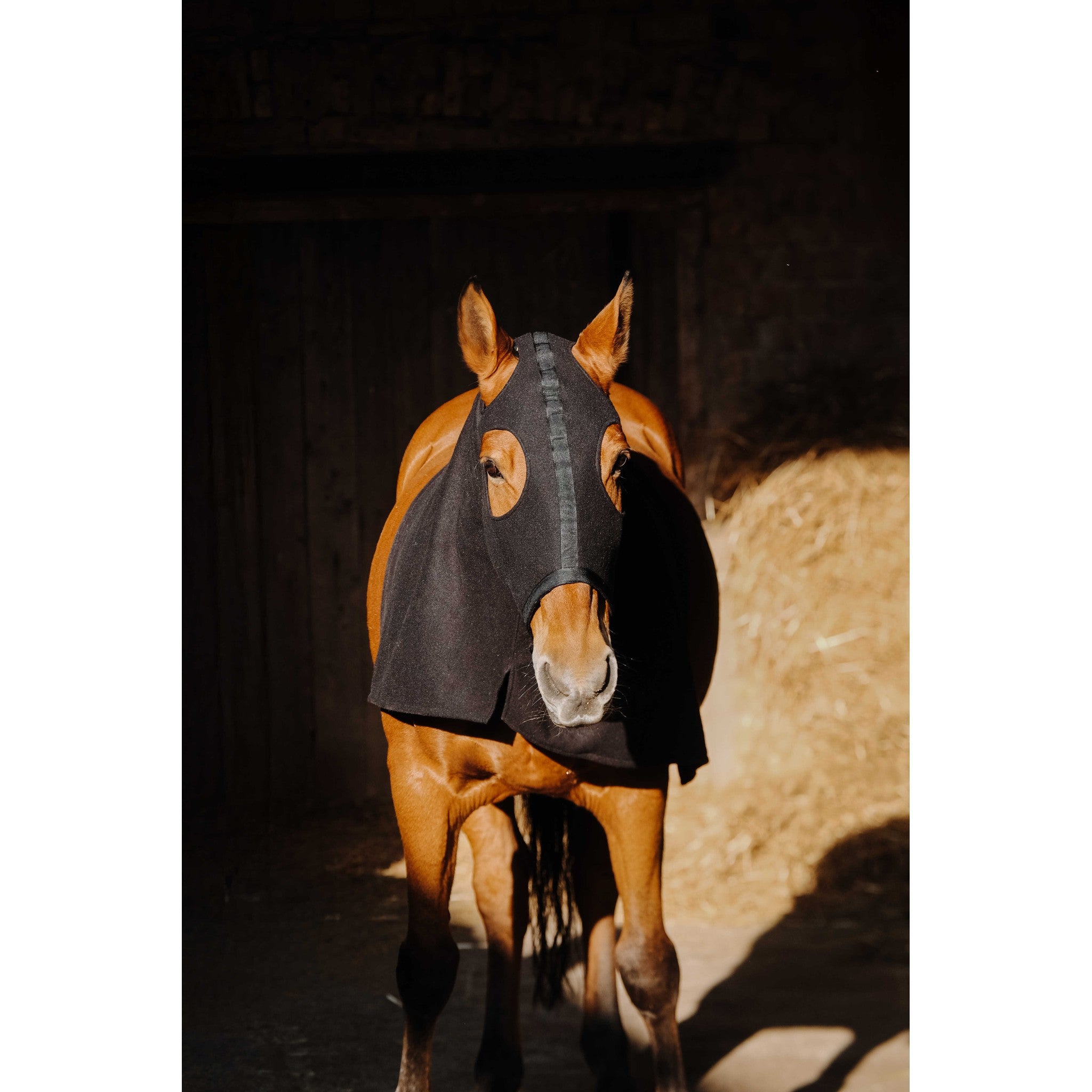 EQUITHÈME Fleece Head and Neck Cover Black 400413102