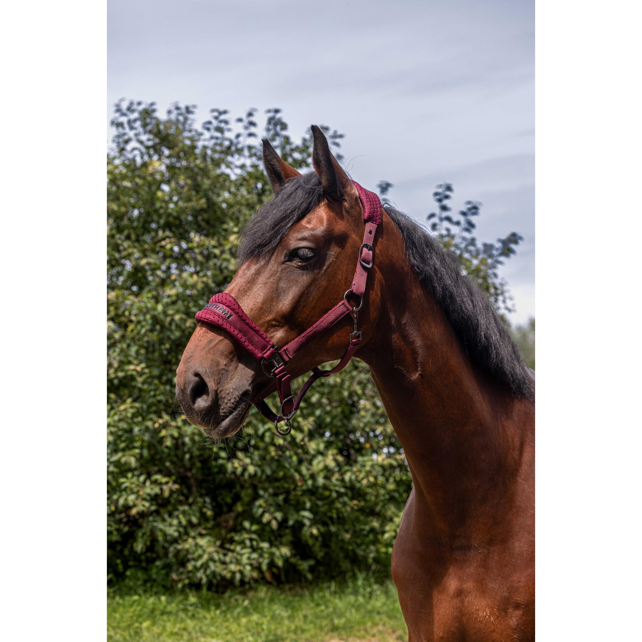 EQUITHÈME 3D Mesh Halter Burgundy 510261333