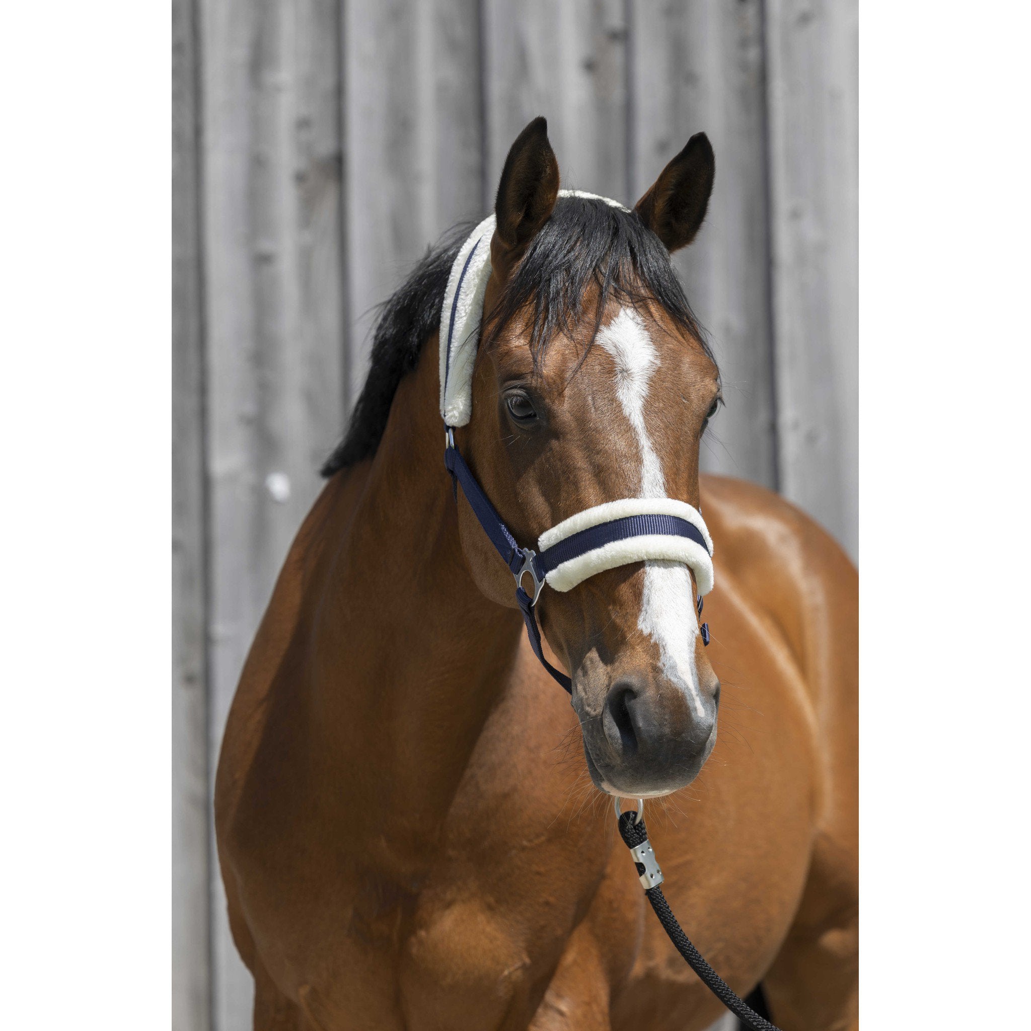 Riding World Synthetic Sheepskin Halter Navy blue 510242307