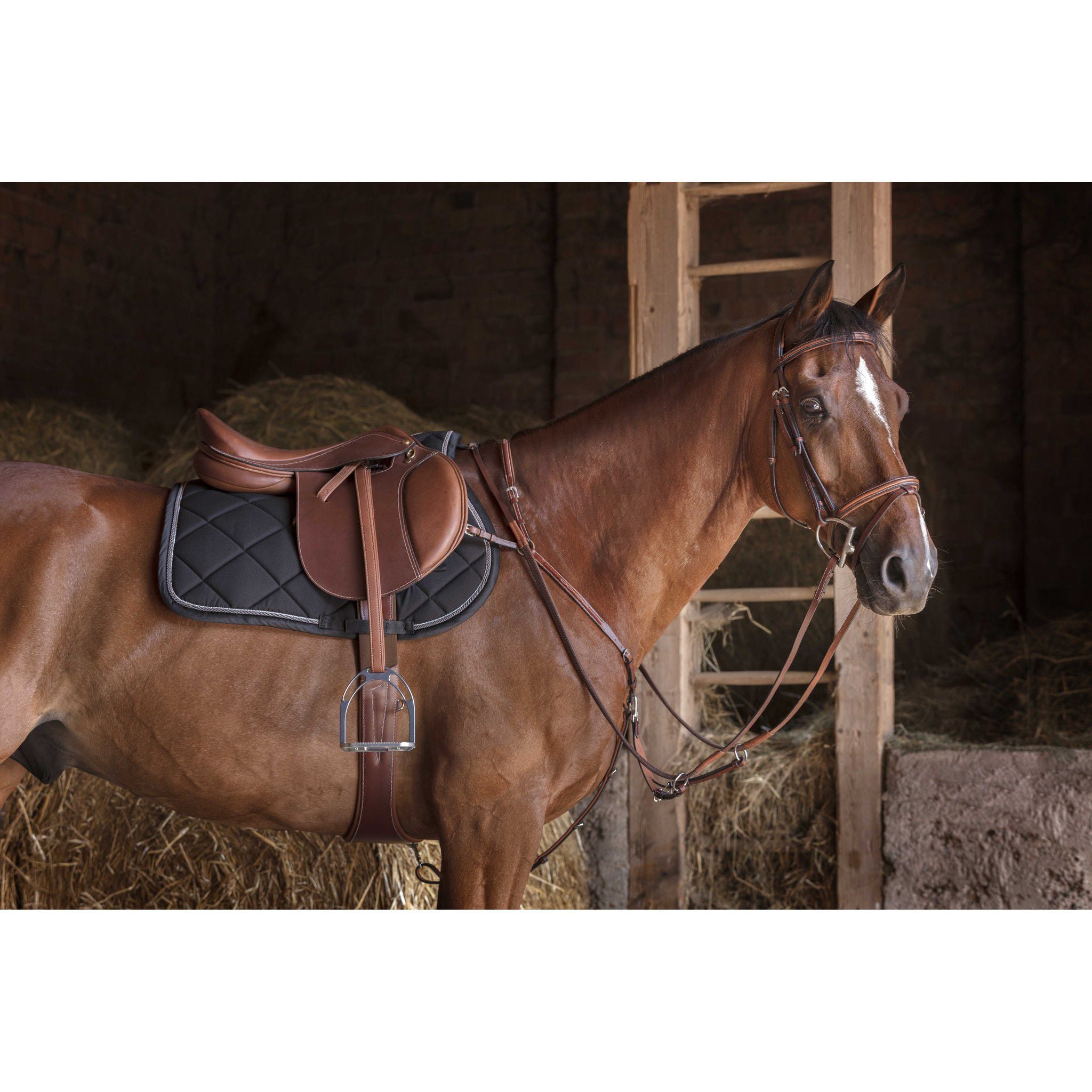 Eric Thomas Hybrid Breastplate Havana 306607318