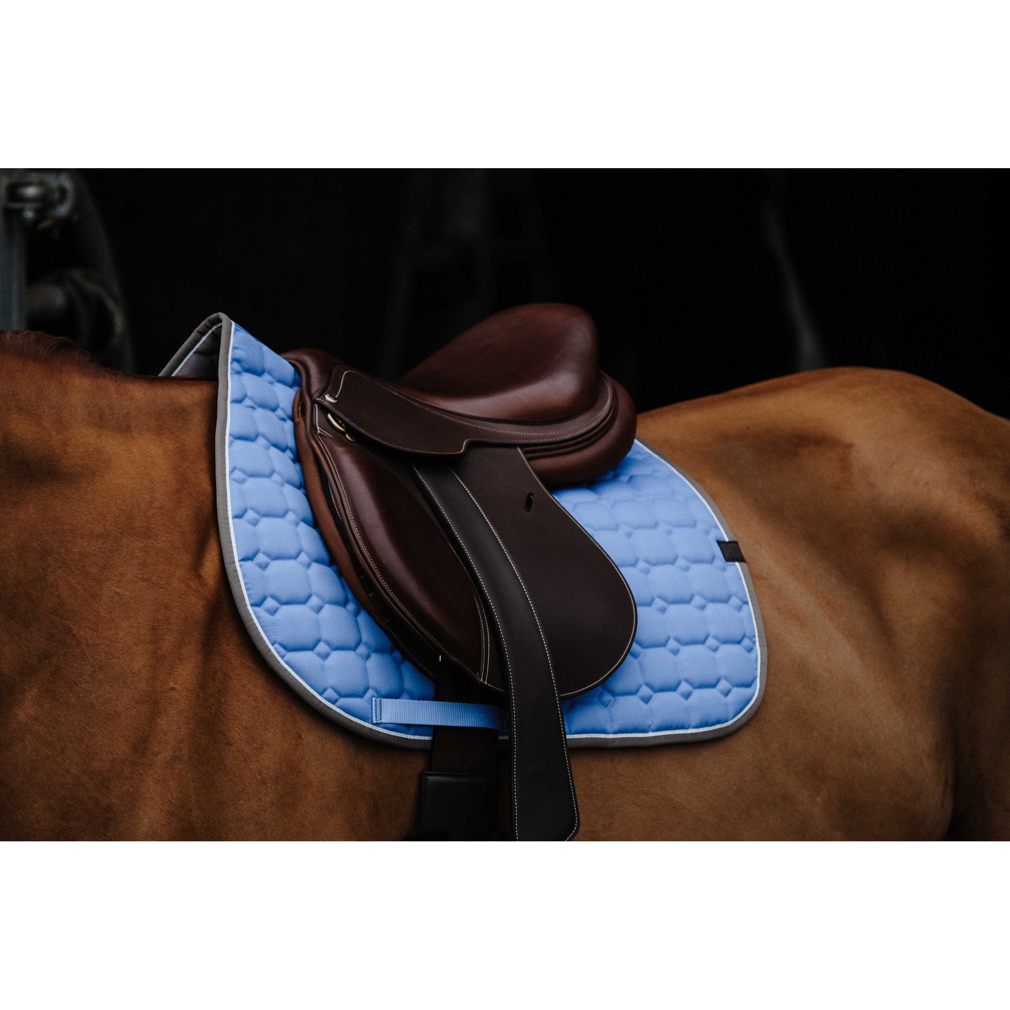 EQUITHÈME Orion saddle pad - All purpose Blue/light blue 204774012