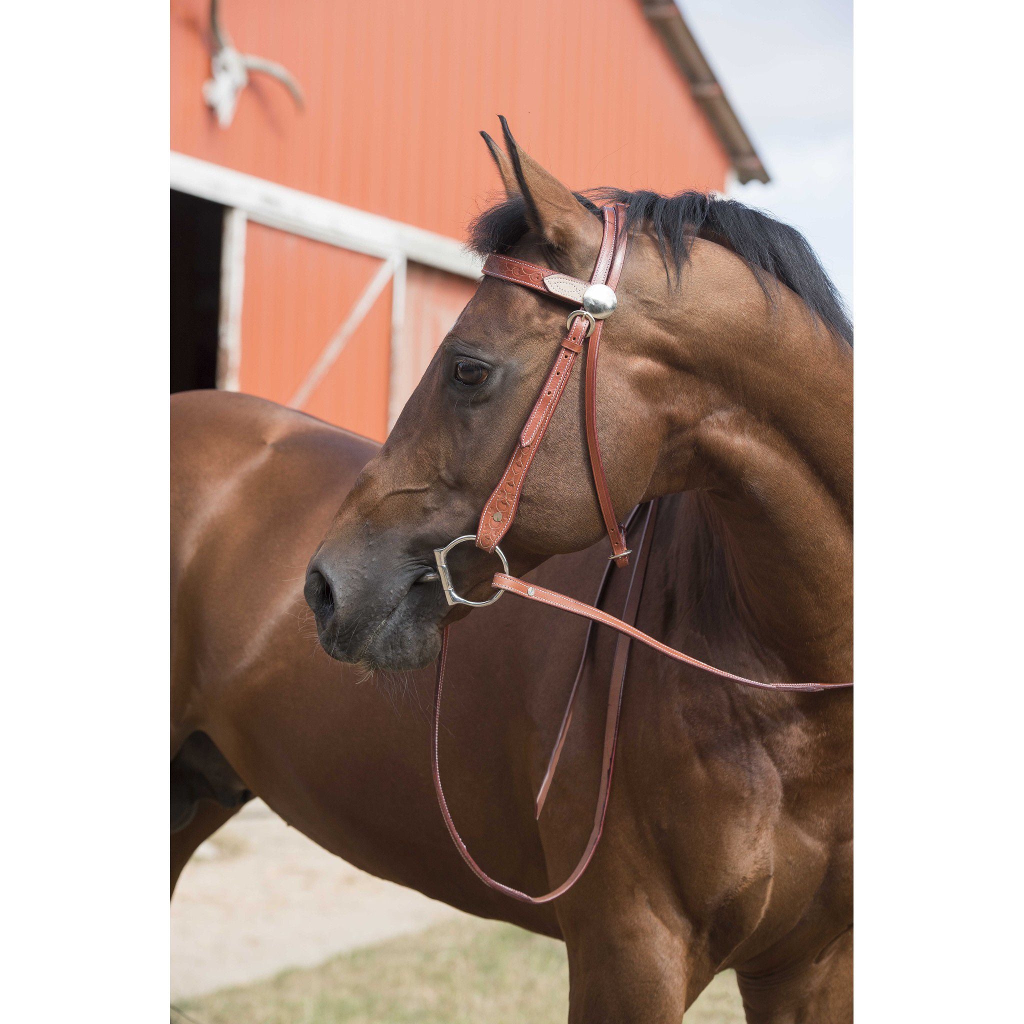 Westride Two Tone bridle Chestnut 802061017