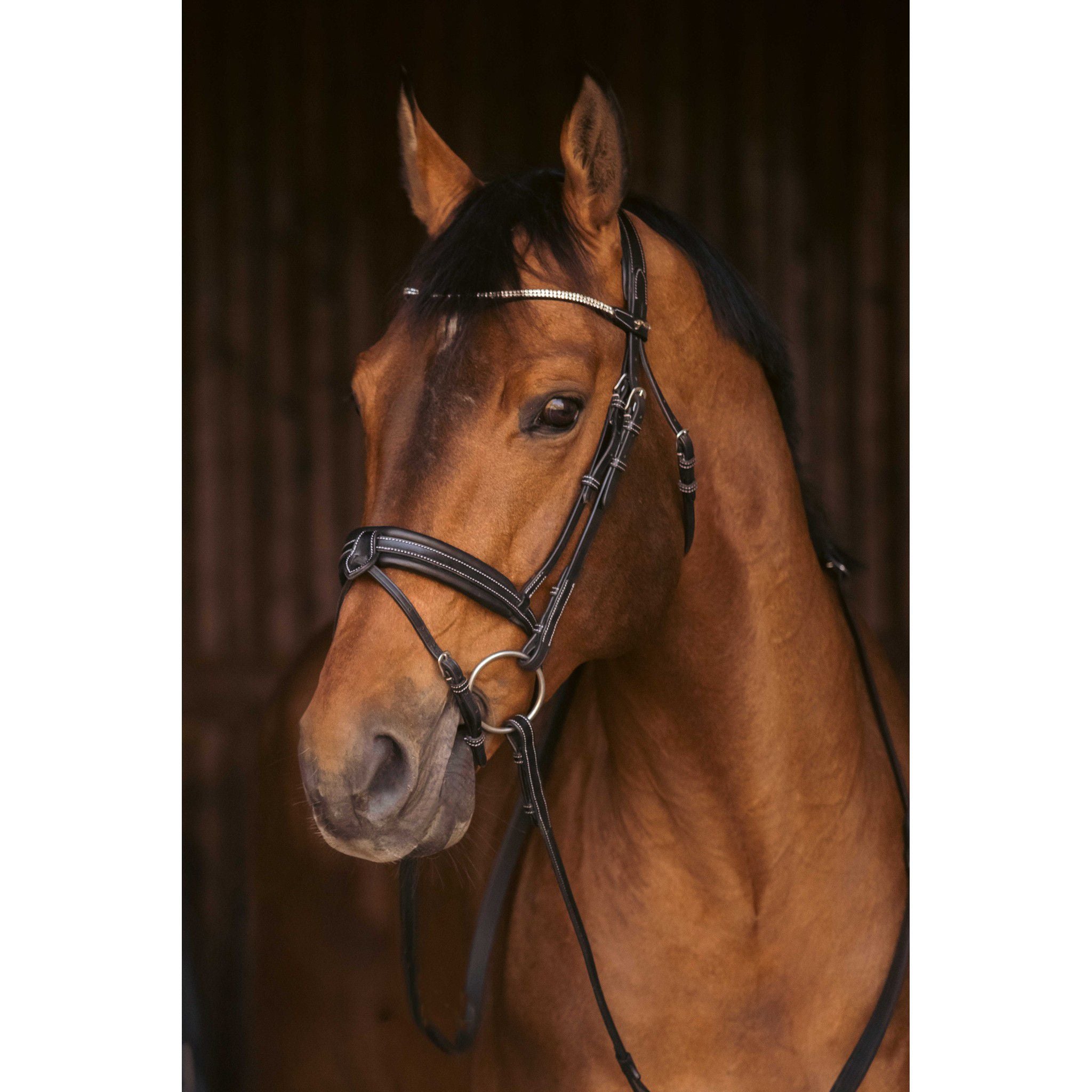 Pénélope Daily Strass Bridle Black 301613302