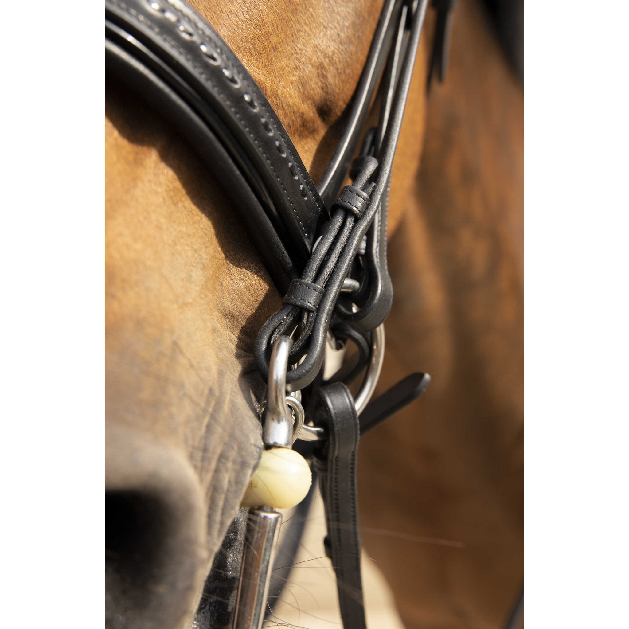 Penelope Point Sellier Bridle Black - 303100202_ambi_3