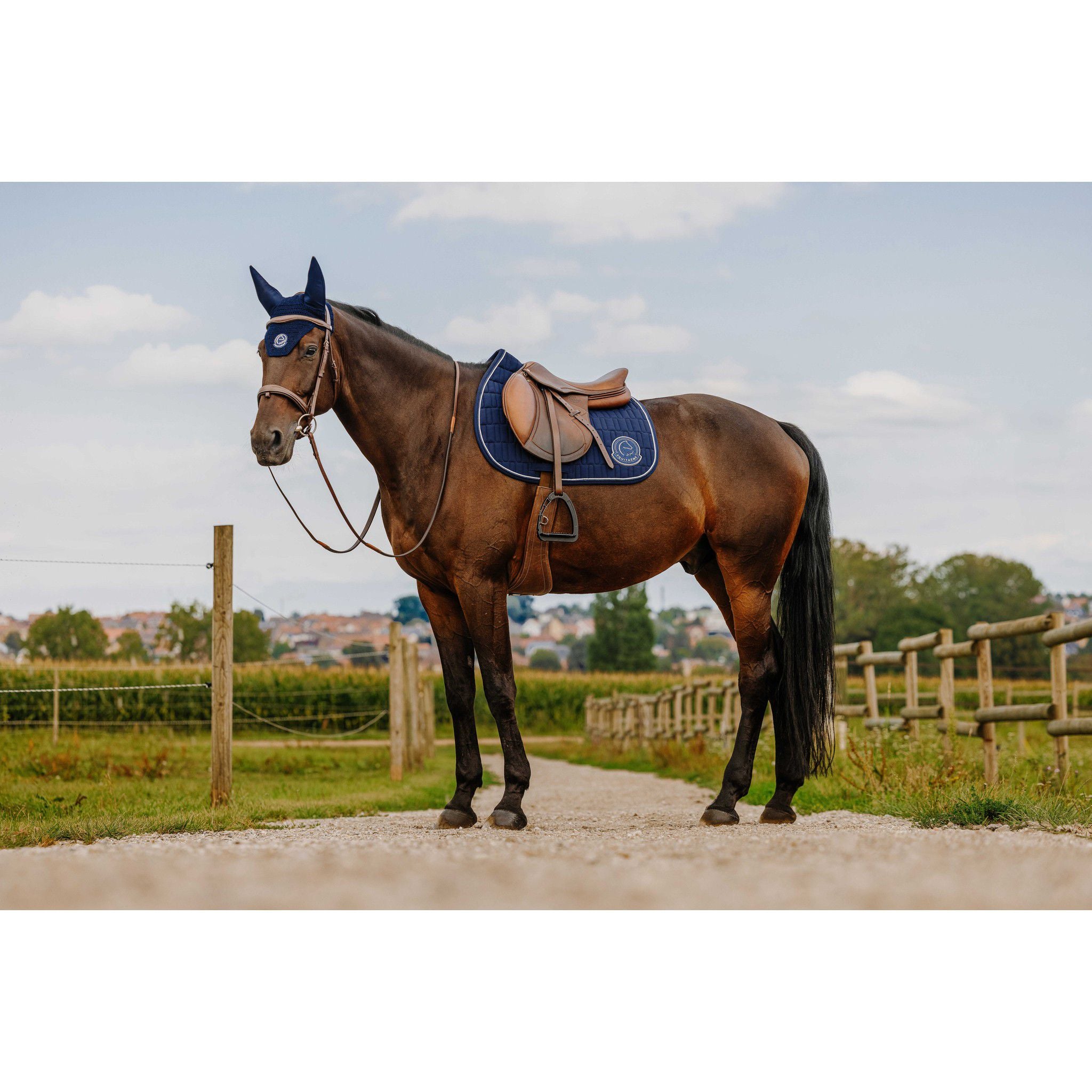 Je t'aime EQUITHÈME Compet Saddle pad - All purpose Blue 204506007