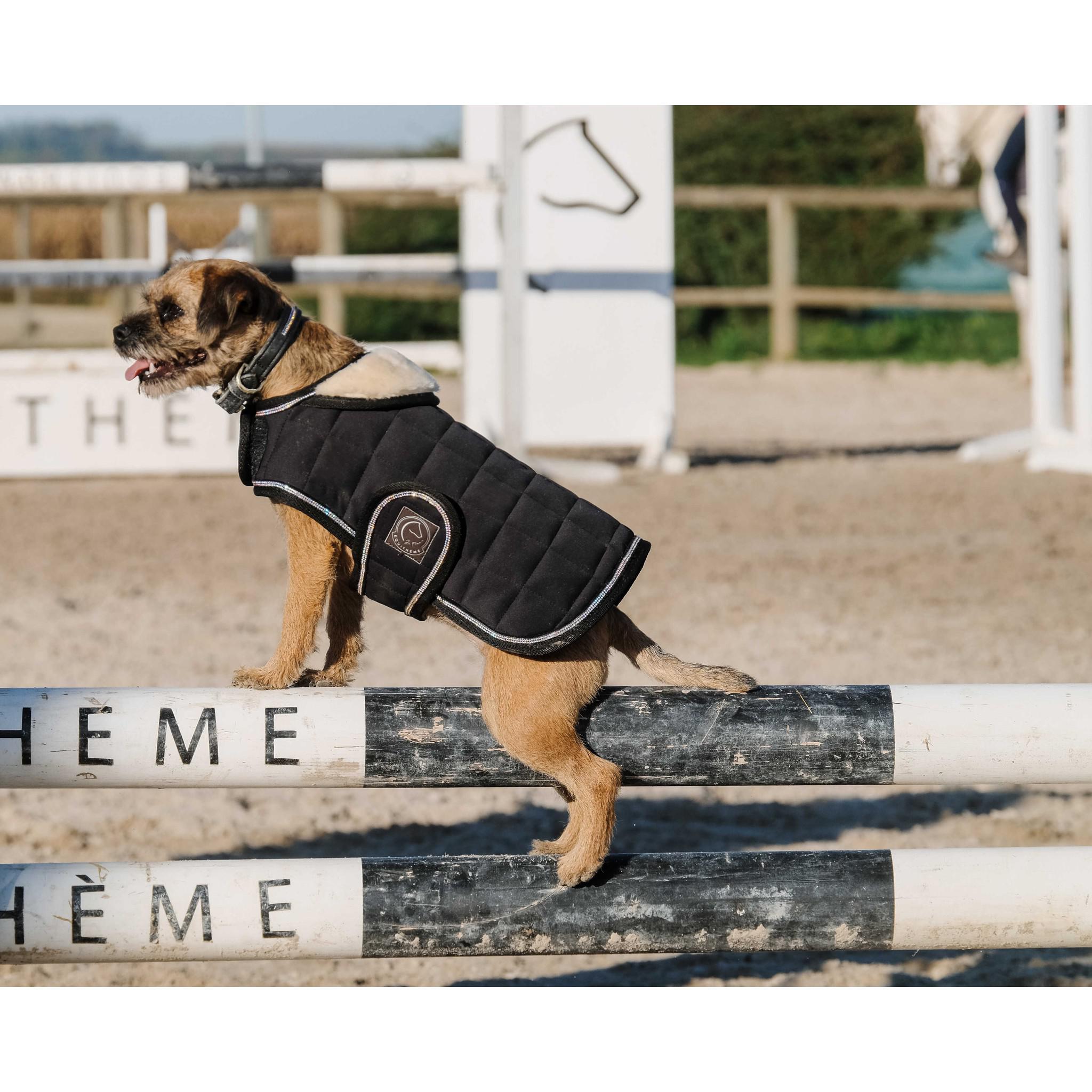 Je t'aime EQUITHÈME Velours dog rug Black 409037240