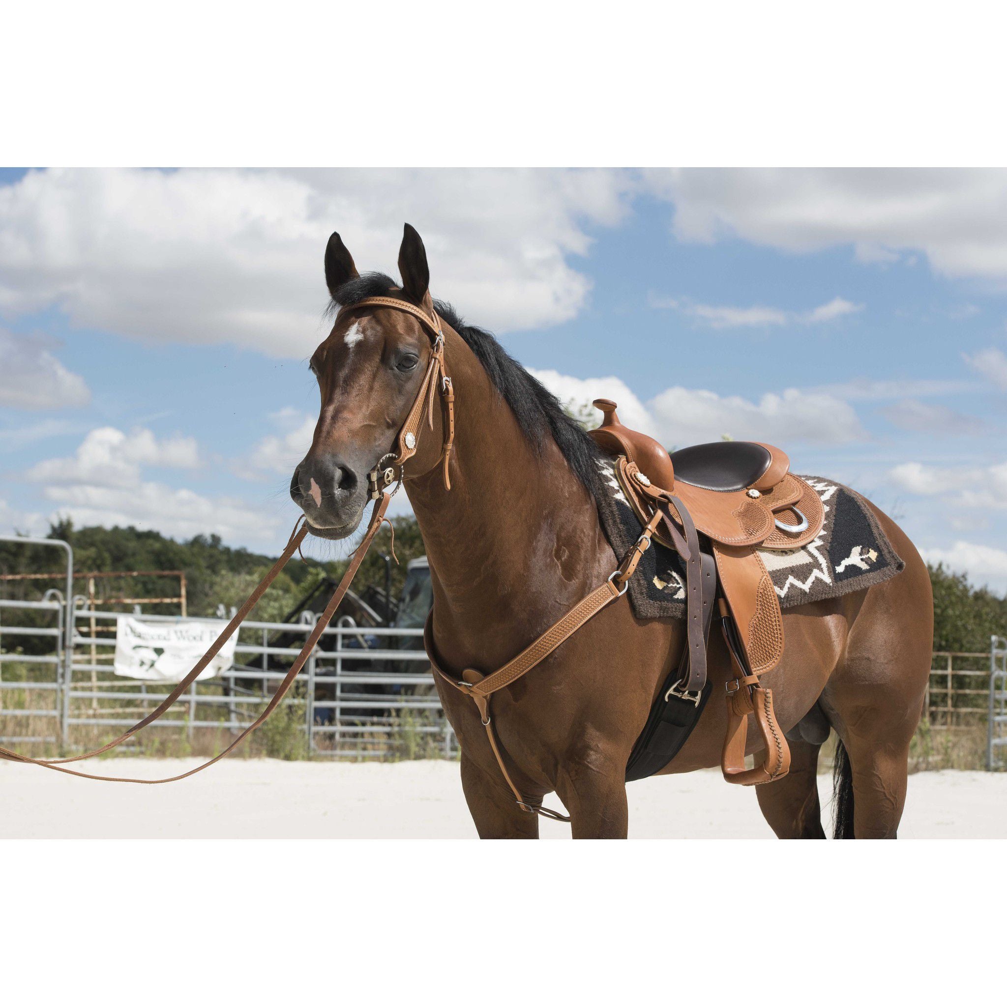 Westride Aurora Saddle by Franck Perret Chestnut 800043016