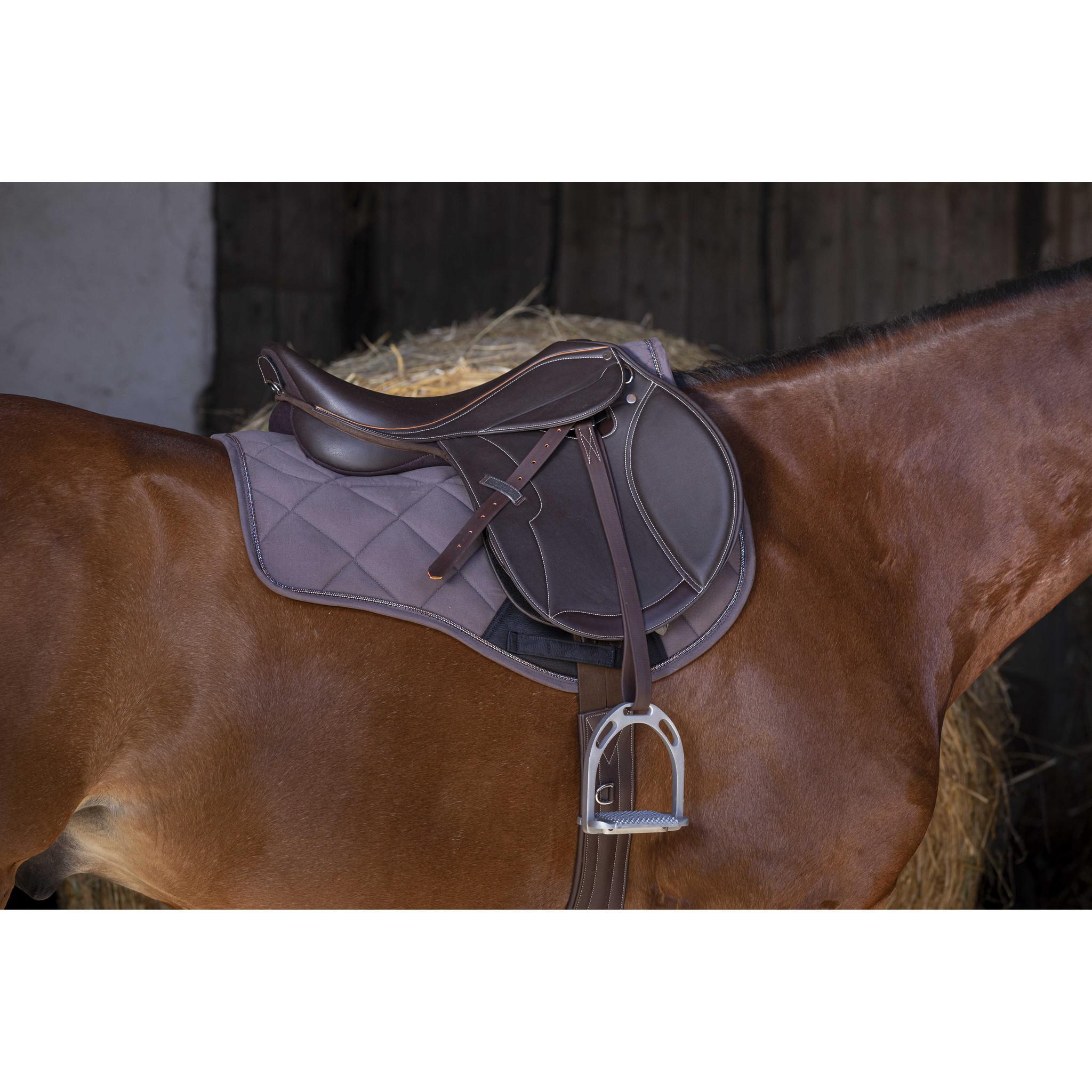 Norton Club Rexine Evol Close Contact saddle Brown 117115470